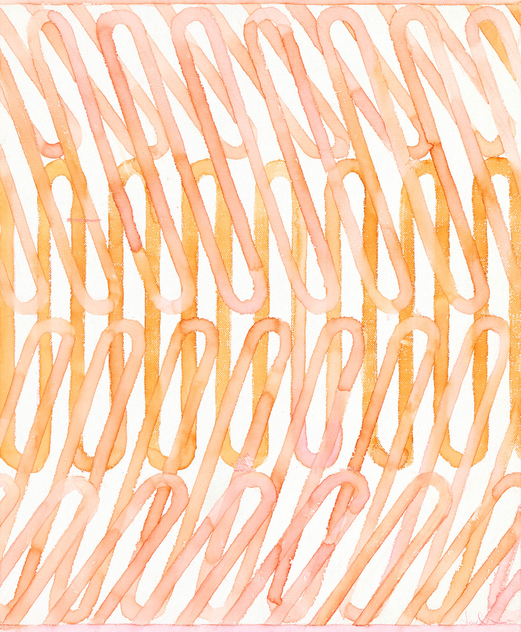 Kevin Jackson Ecoline Saffron Rose