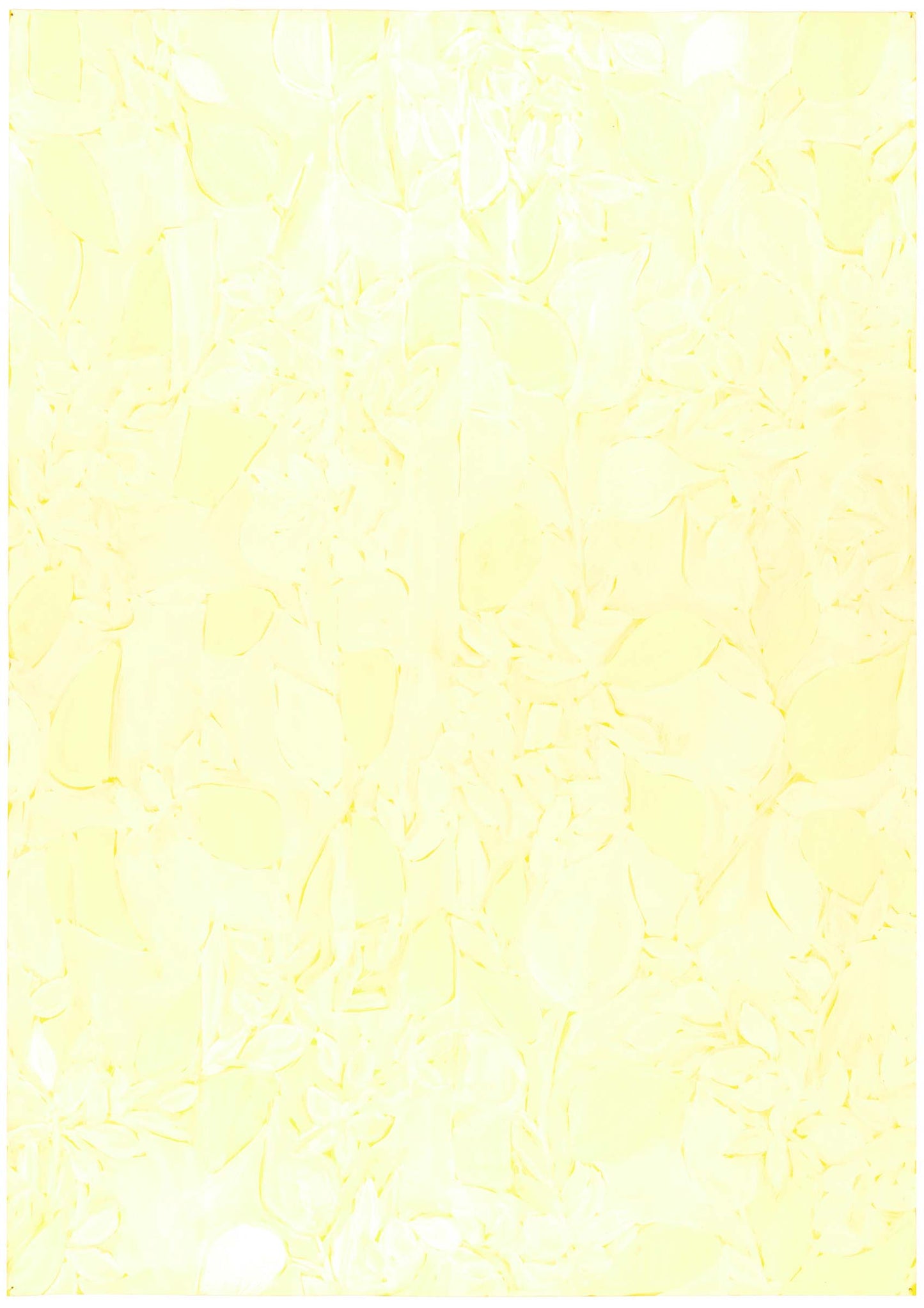 Mark Beldan Light Curtains