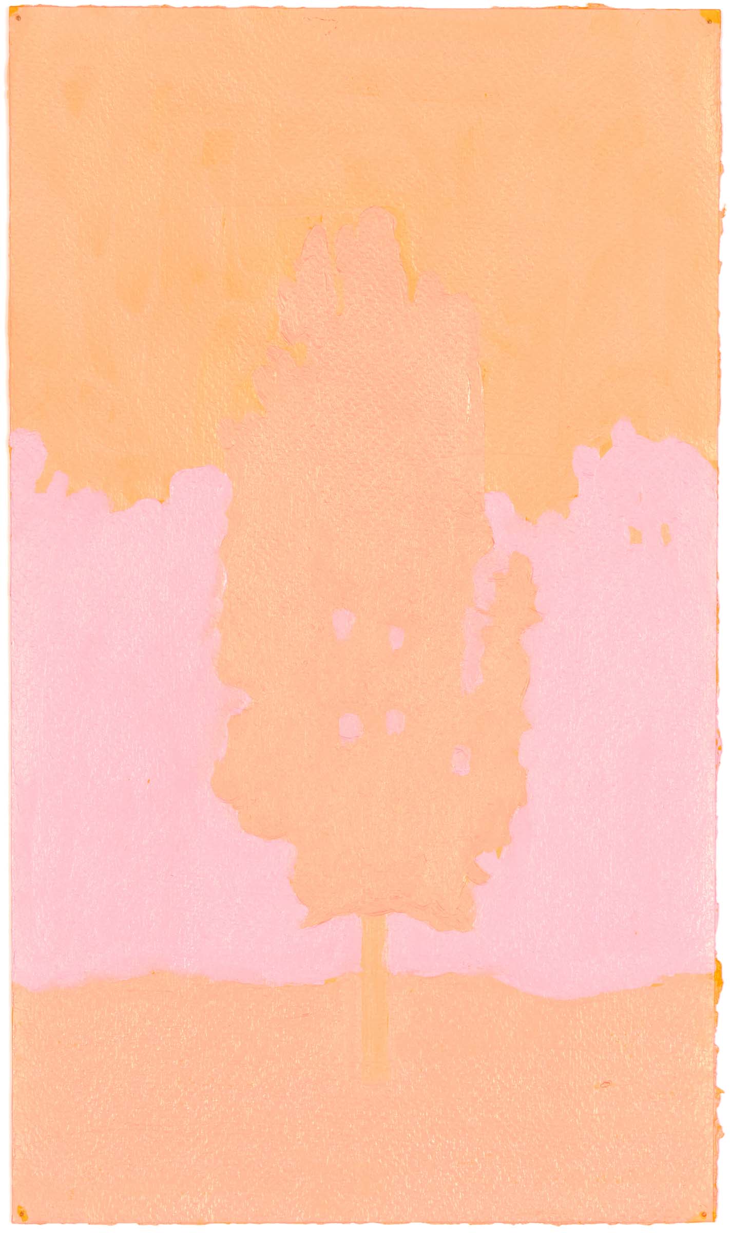Mark Beldan Park Pink