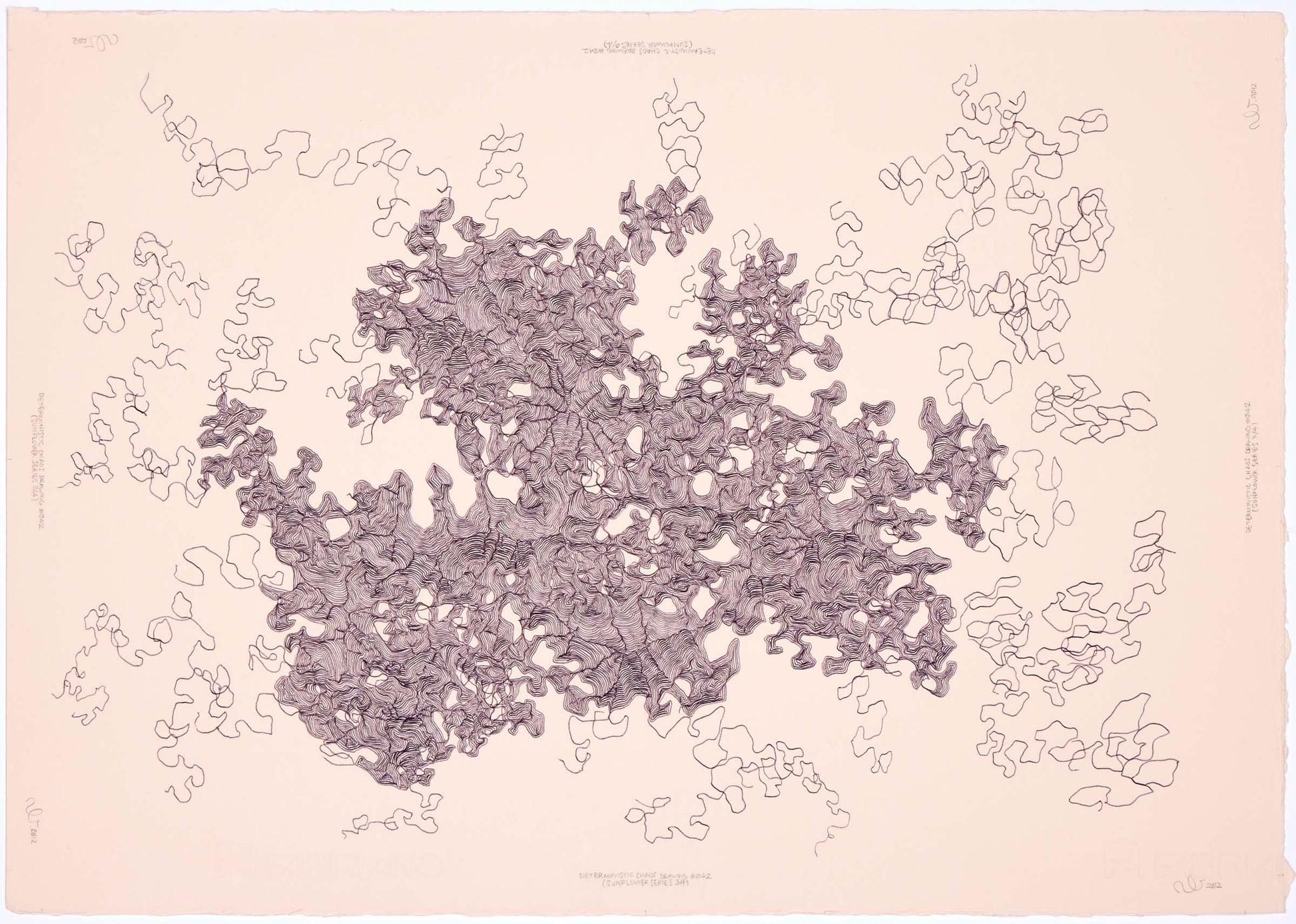 Neil Le Roux Deterministic Chaos Drawing #042 (Sunflower Series 3/4)