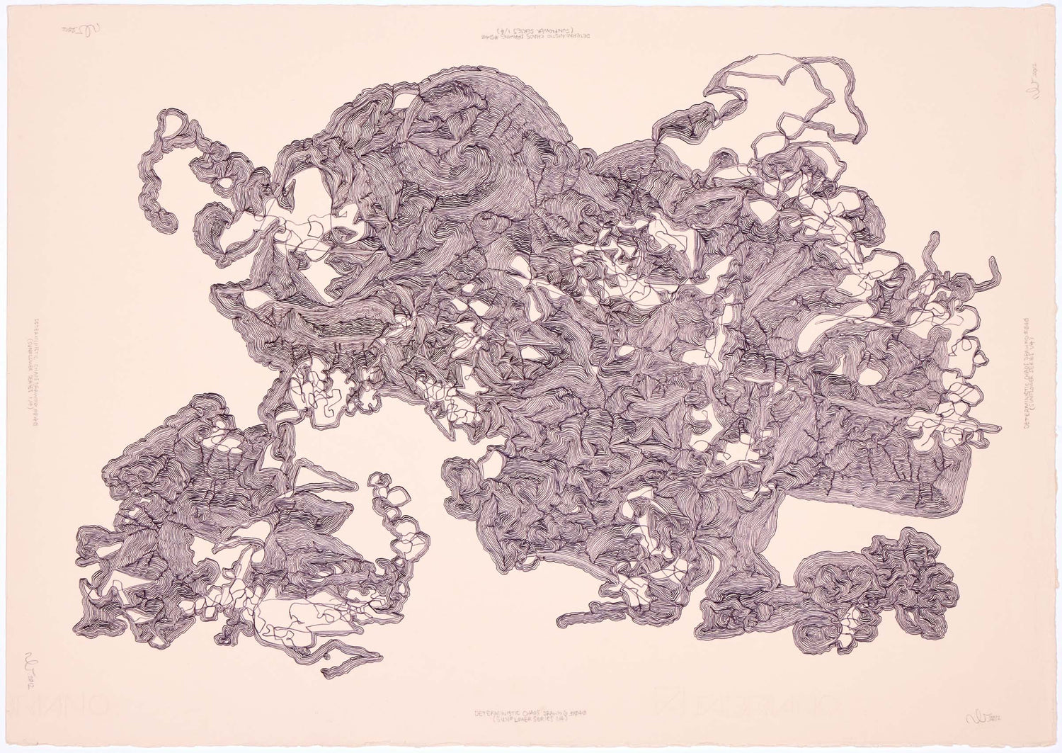 Neil Le Roux Deterministic Chaos Drawing #040 (Sunflower Series 1/4)