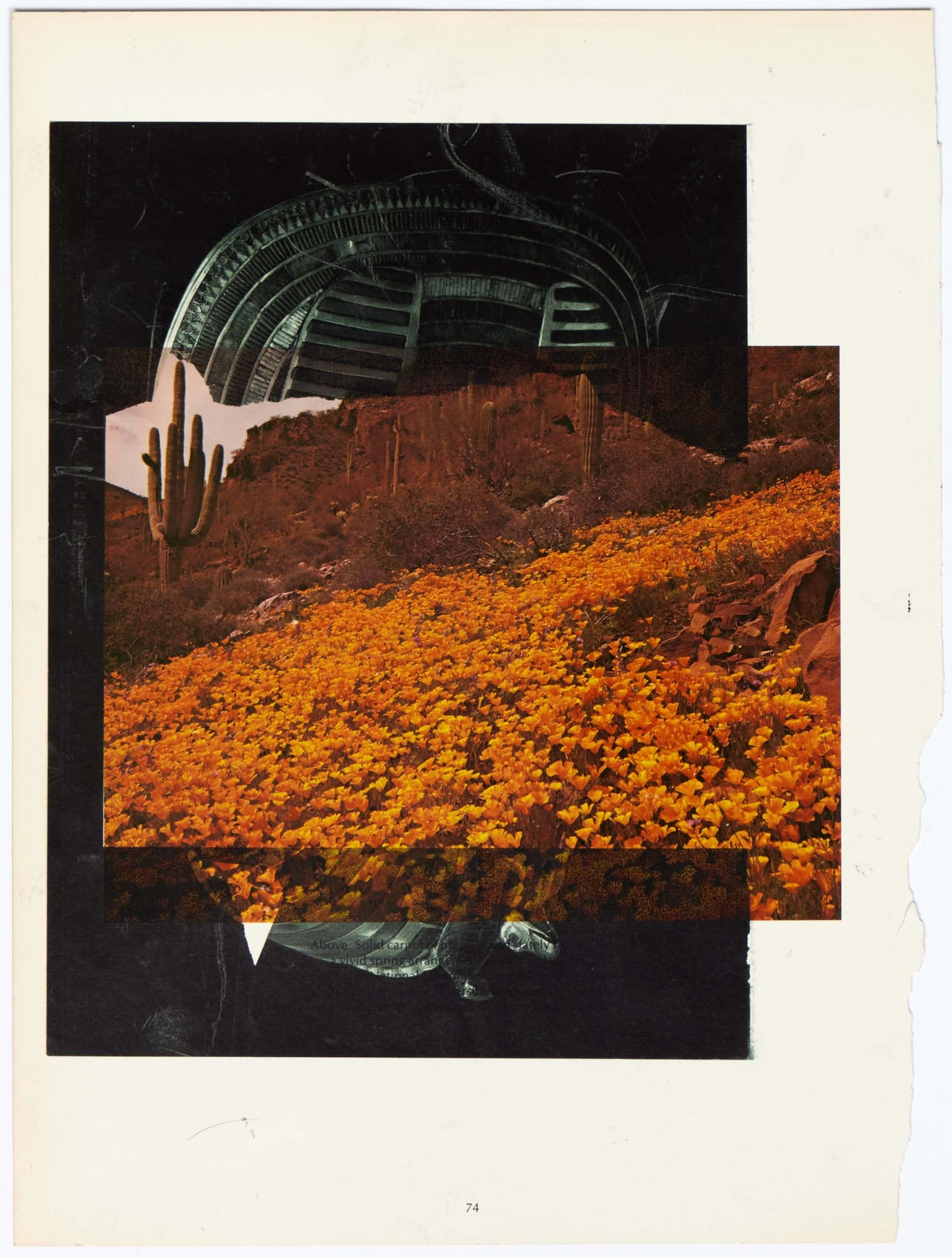 Peter Lamb Visor