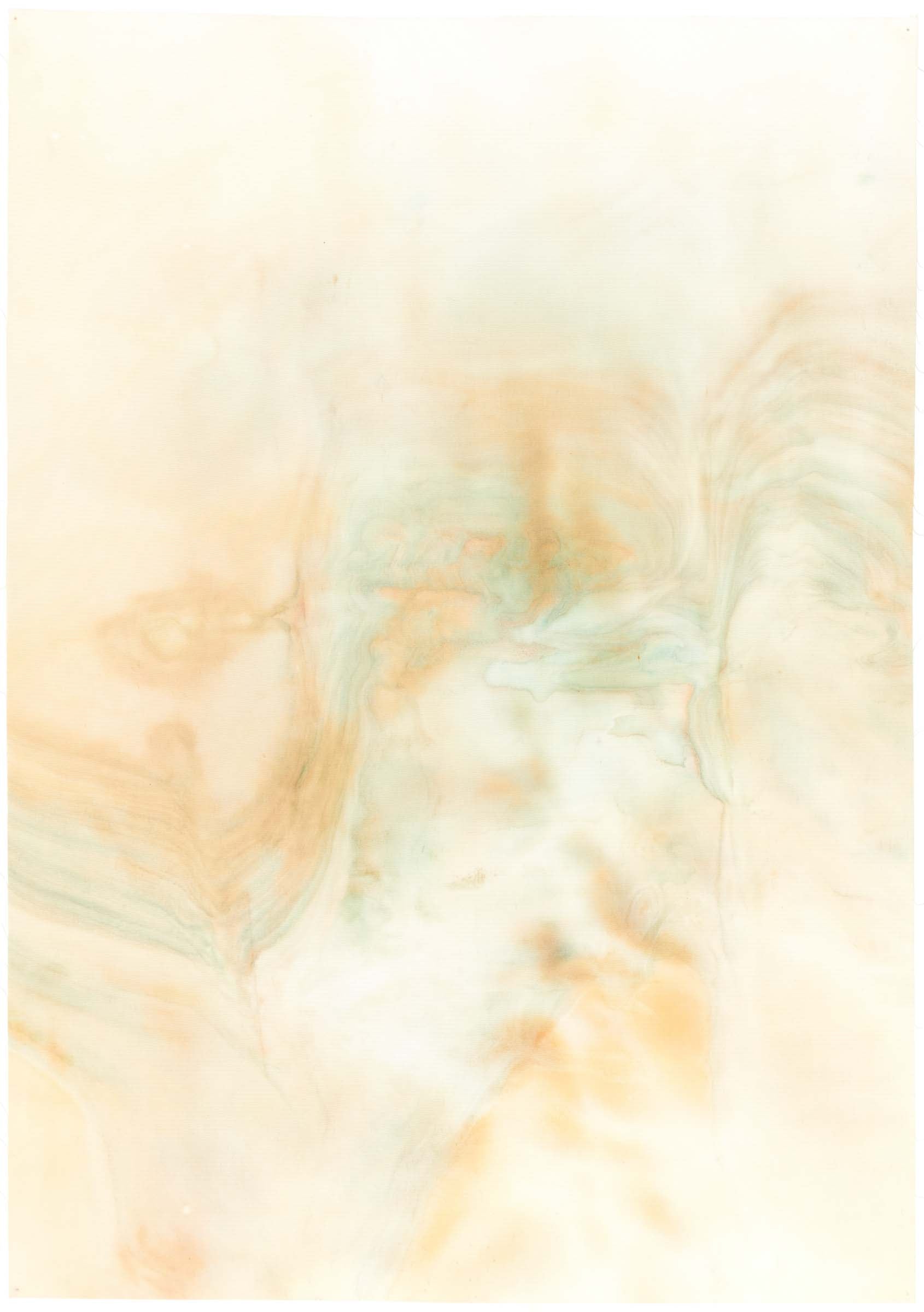 Sarah Tew Orange Haze 2
