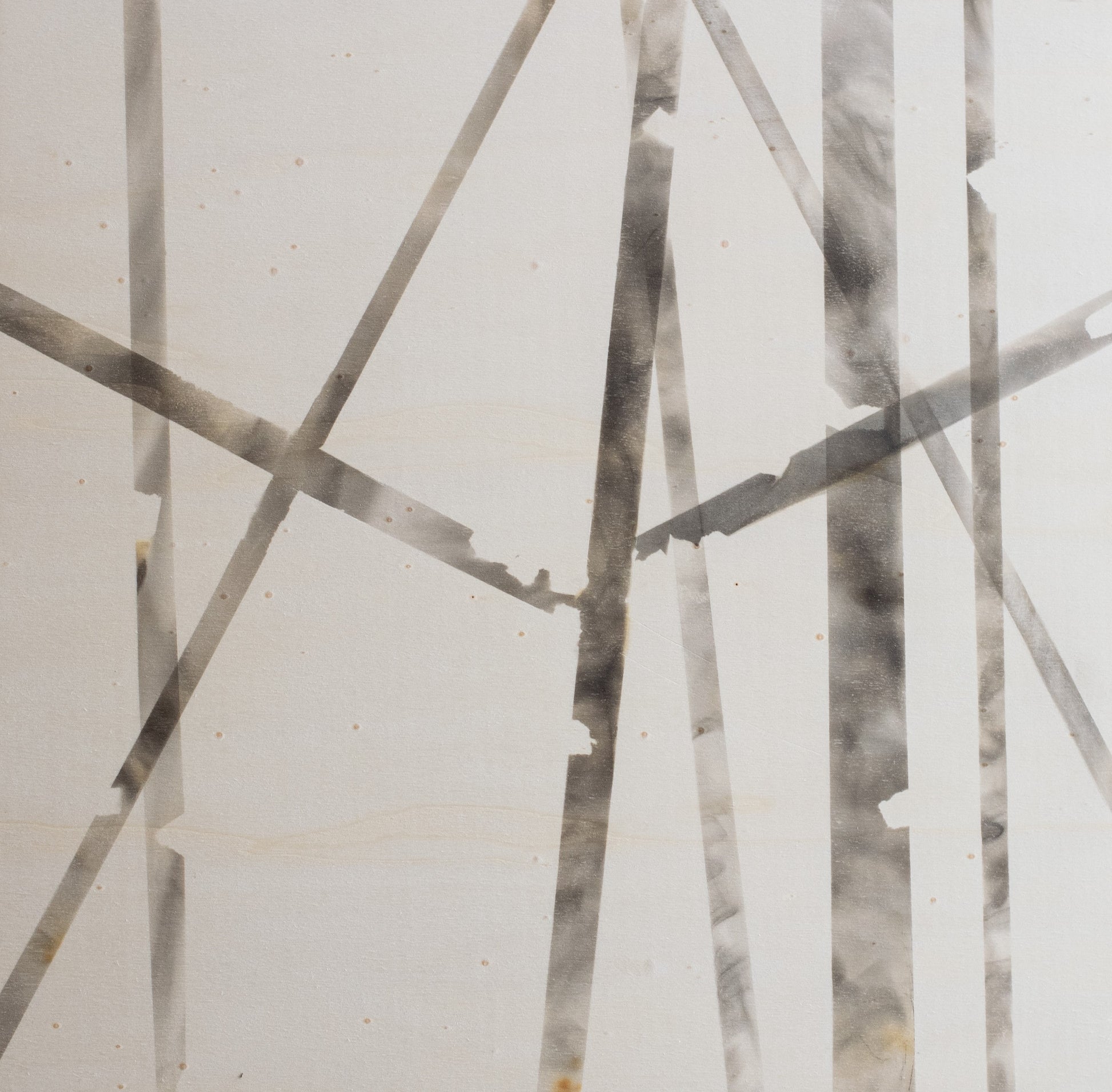Arta Raituma Imprints and The Lost Forest