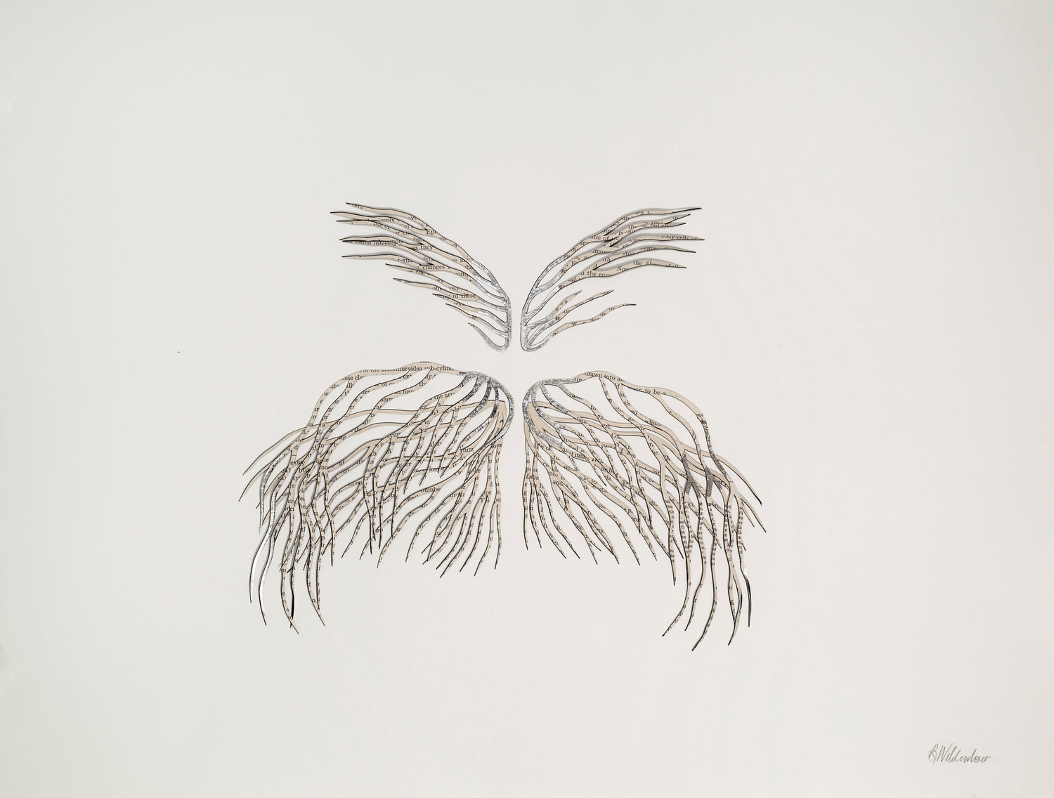 Barbara Wildenboer Cross Section X