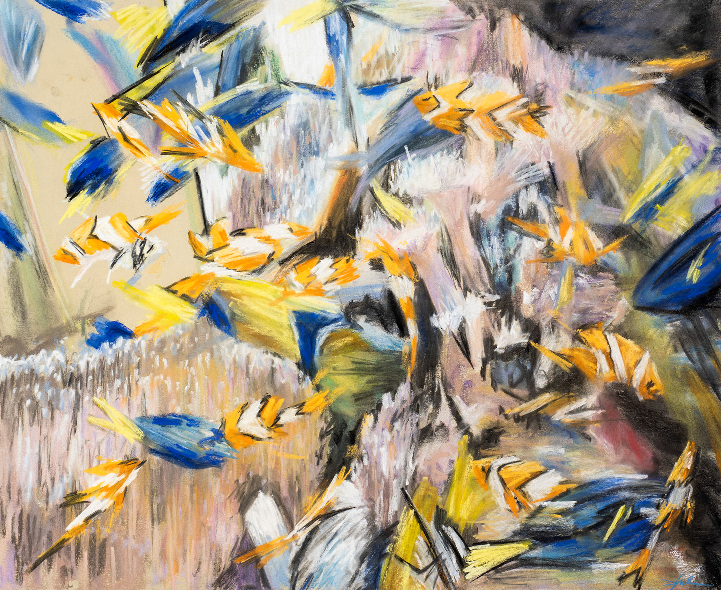 Daniel Malan Fish Tank 3