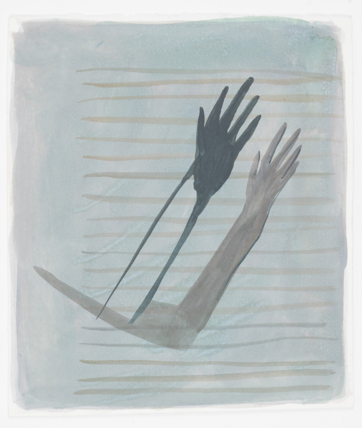 Eve Ackroyd Blinds