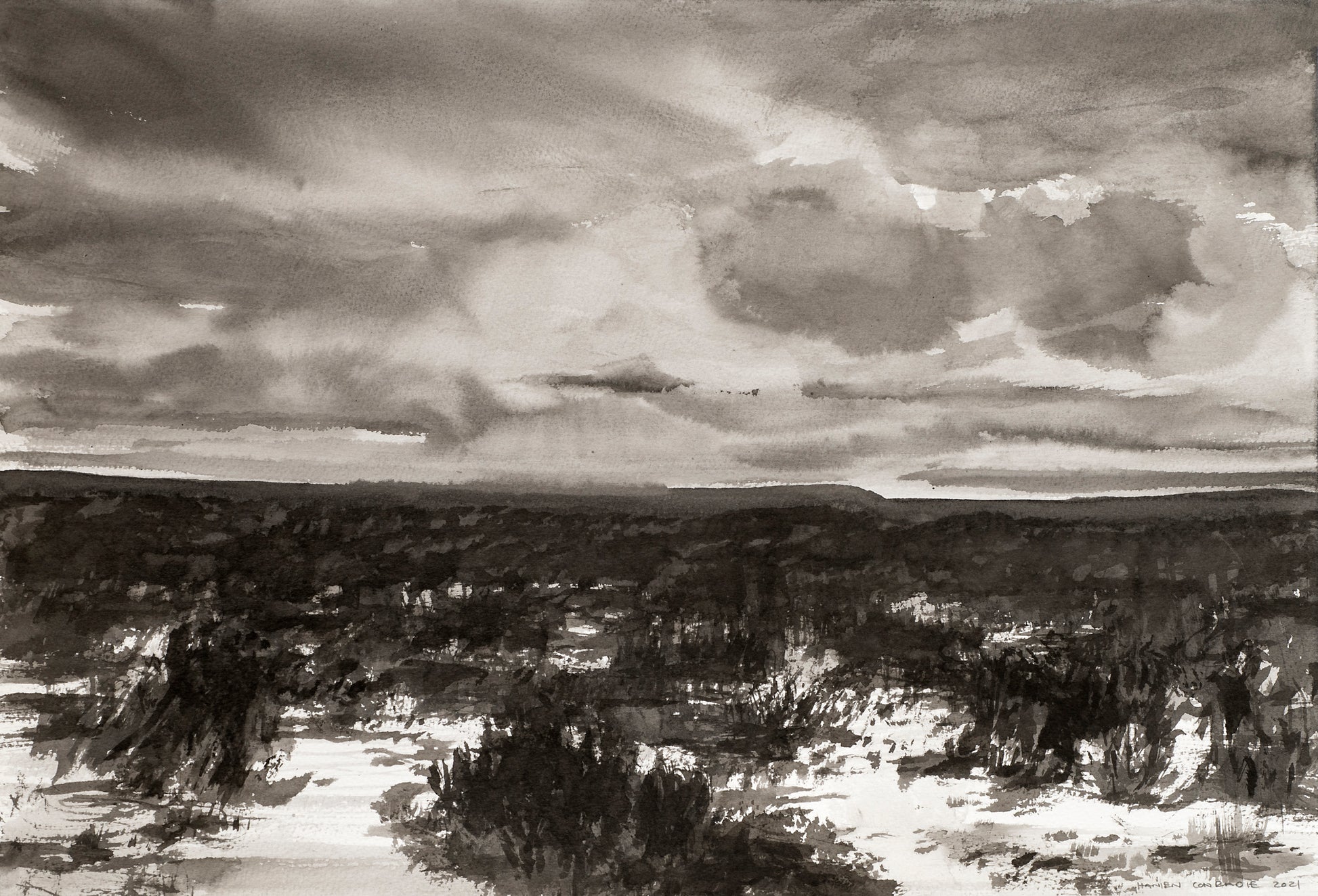 Hanien Conradie Rainscape 5