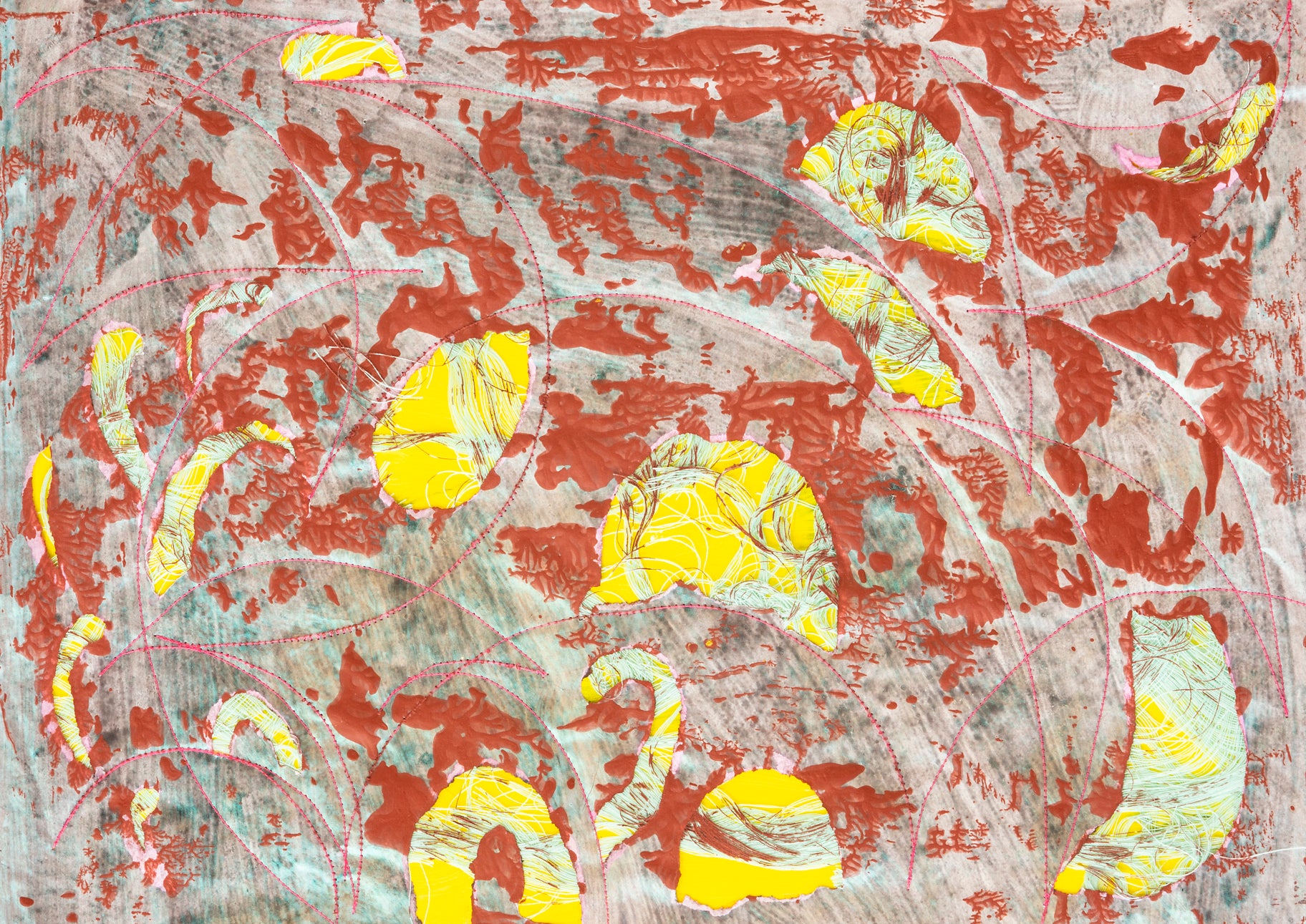 Mark Rautenbach Cave Plants