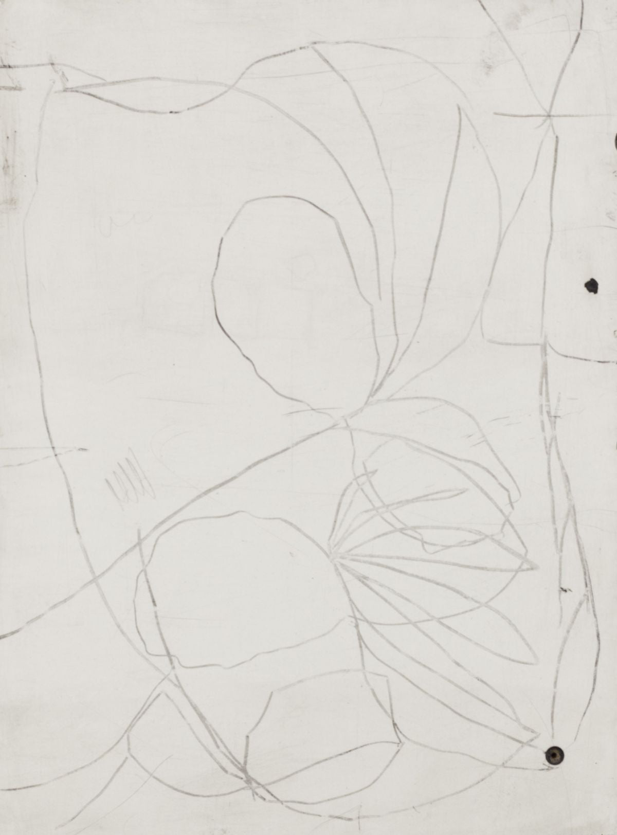 Matt Clark Untitled 5