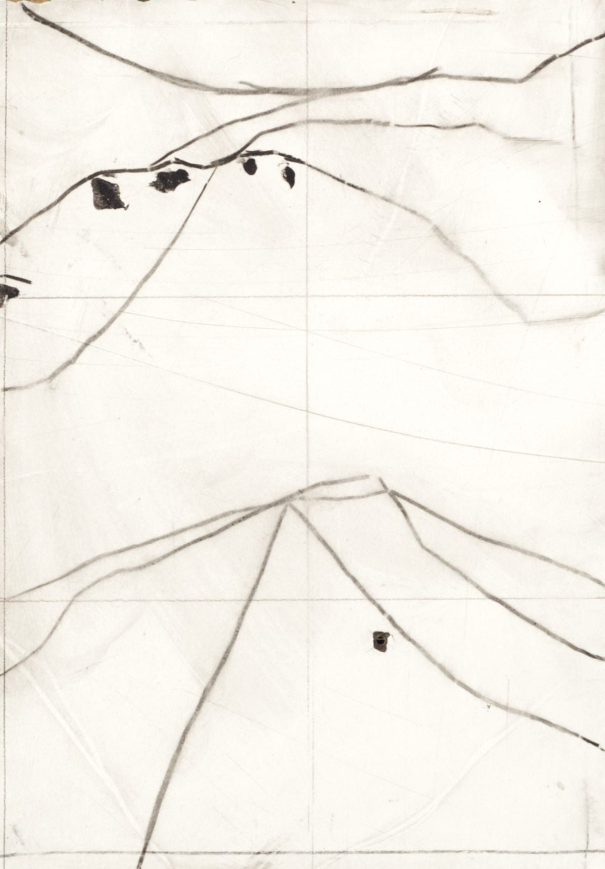 Matt Clark Untitled 6