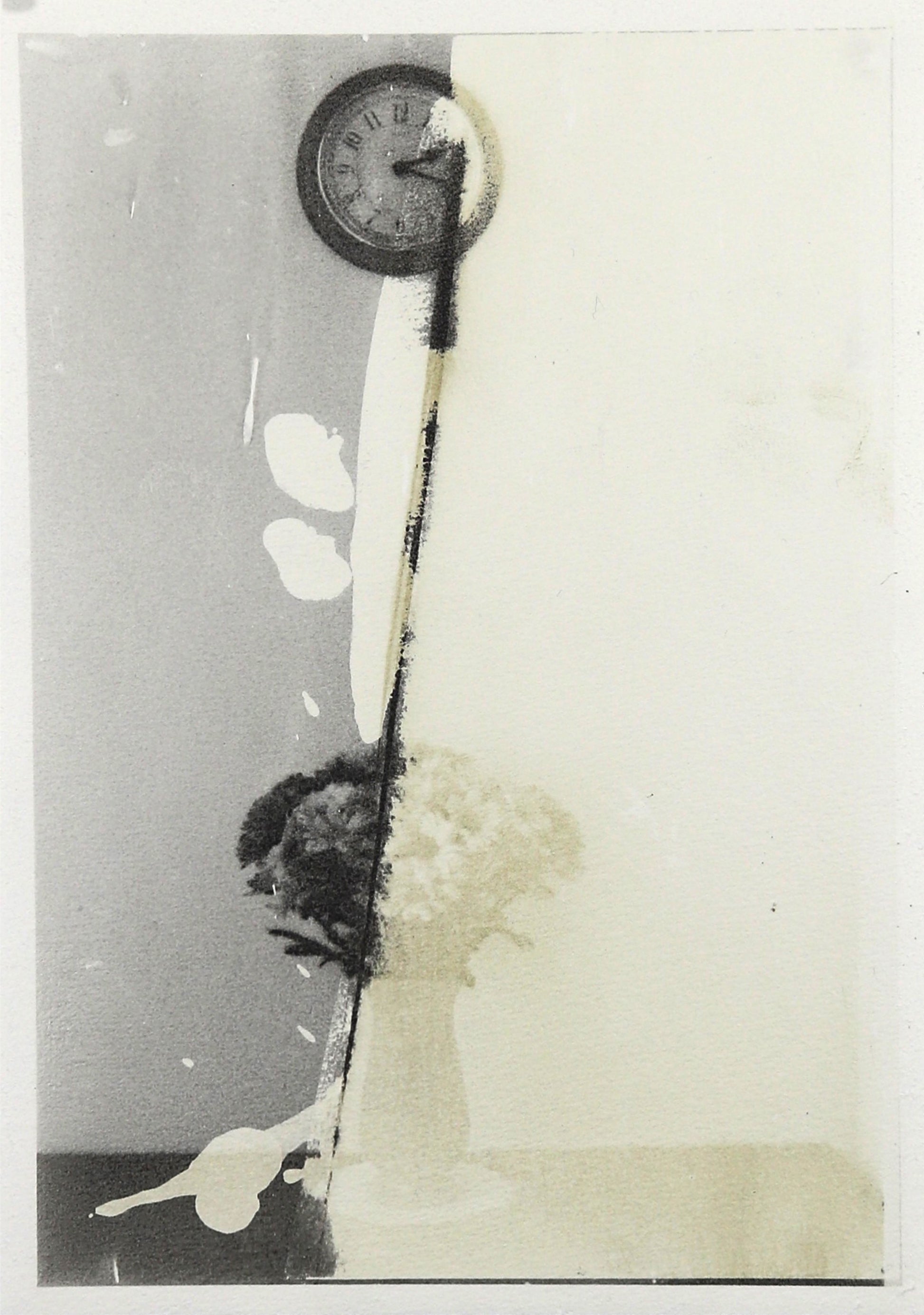 Michael Boffey Bleached Interior