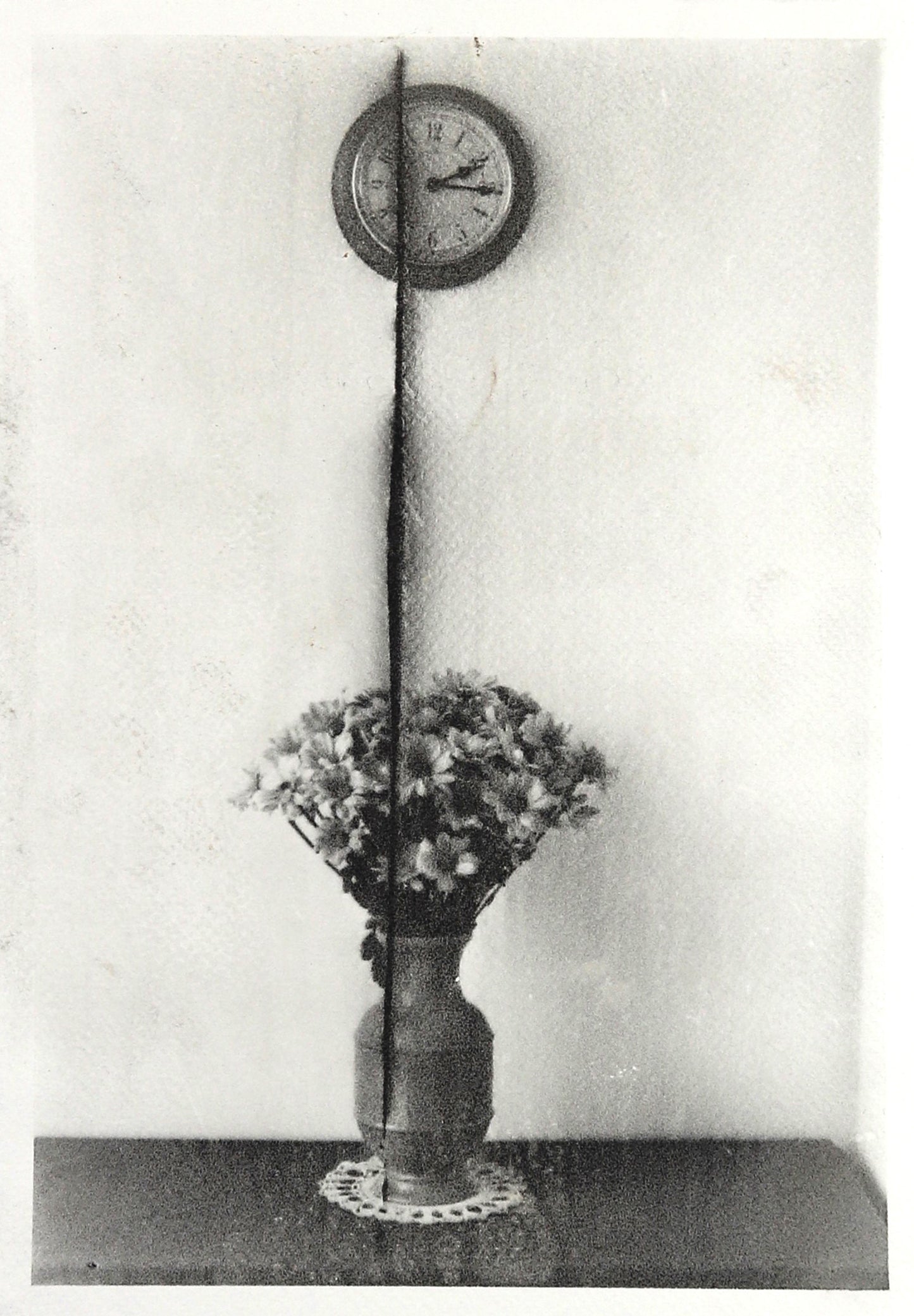 Michael Boffey Cut Flowers