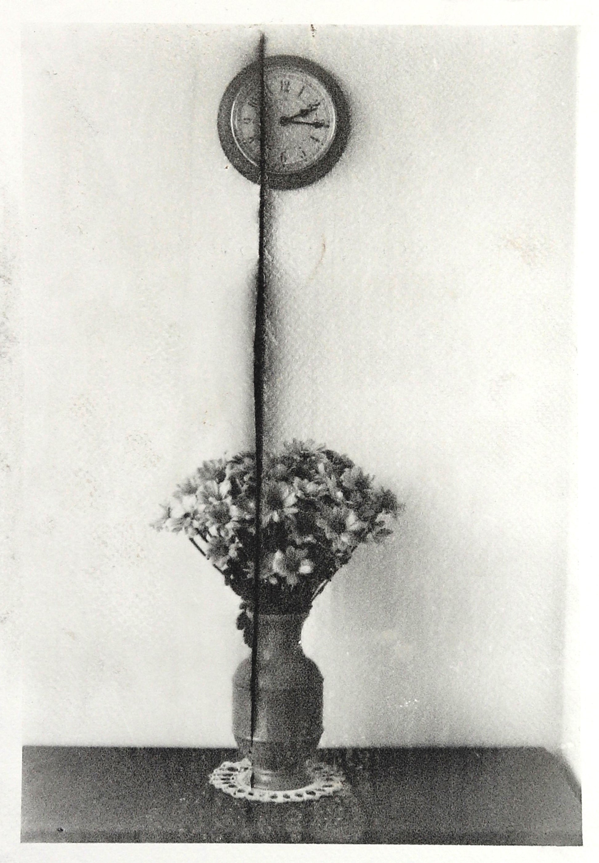 Michael Boffey Cut Flowers