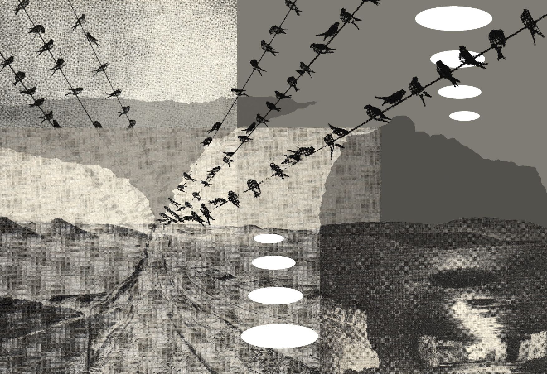 Mick Finch Book of Knowledge 6