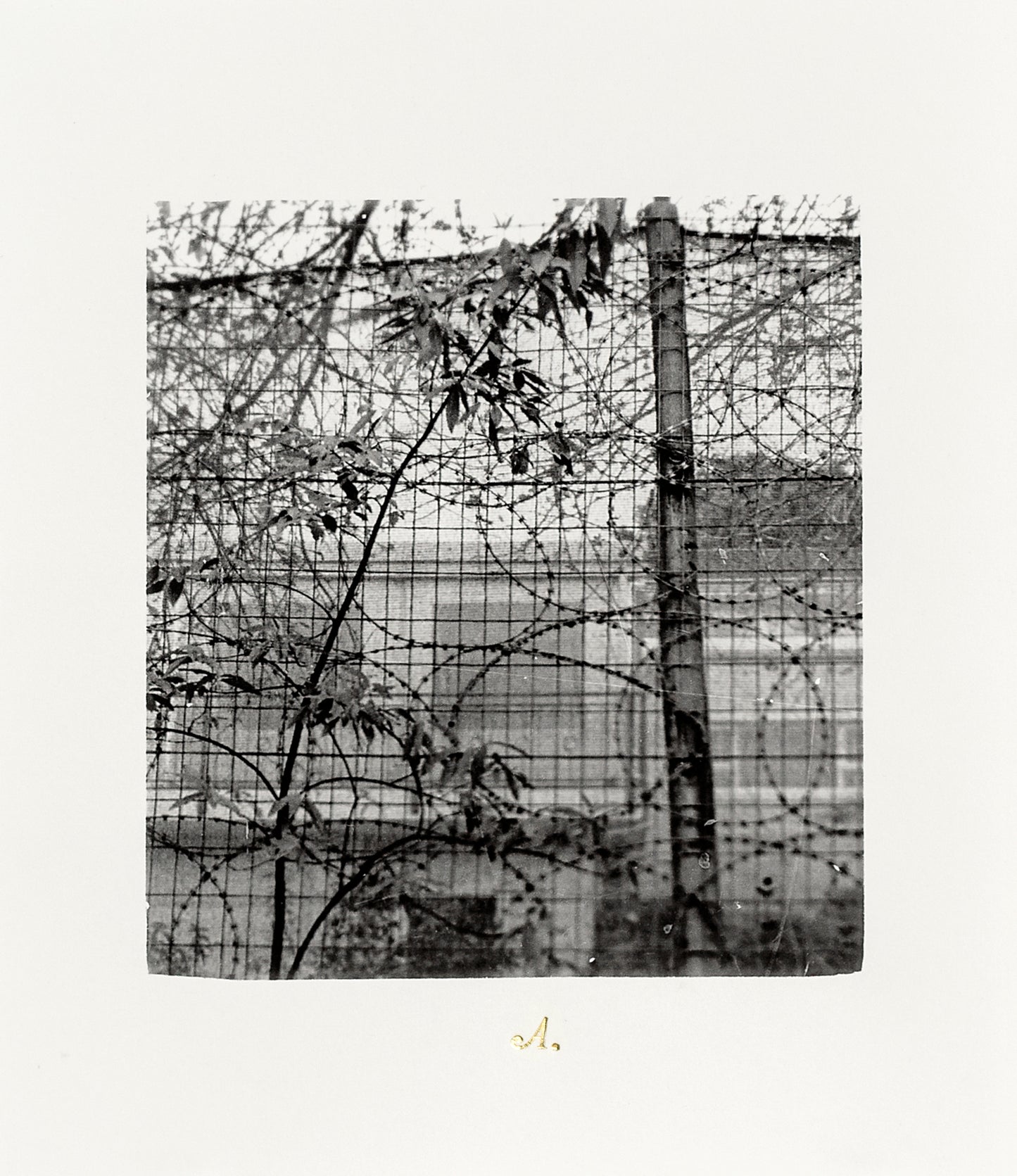 Nicolas Tanner Problems Of Perception Contents IIa