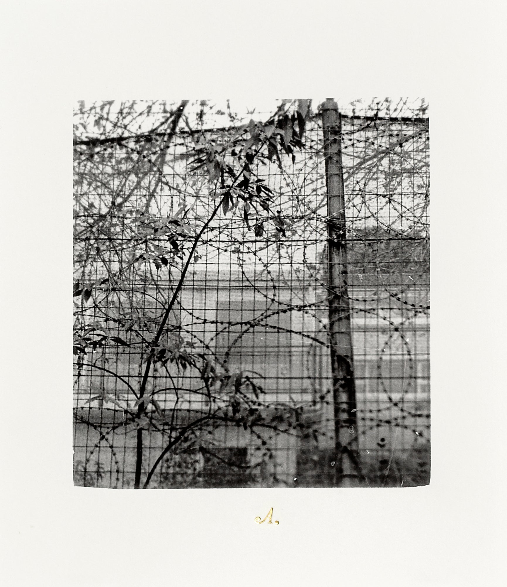 Nicolas Tanner Problems Of Perception Contents IIa
