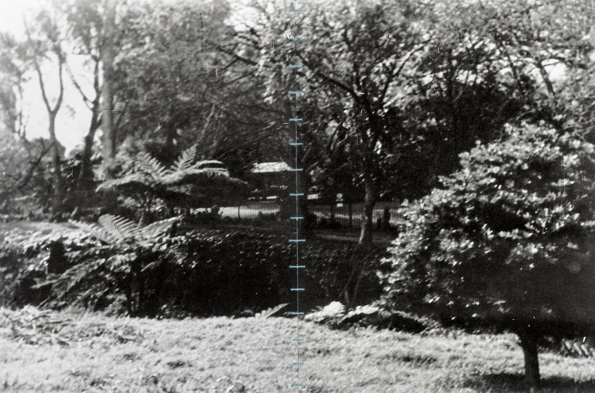 Nicolas Tanner Problems Of Perception Contents IVf