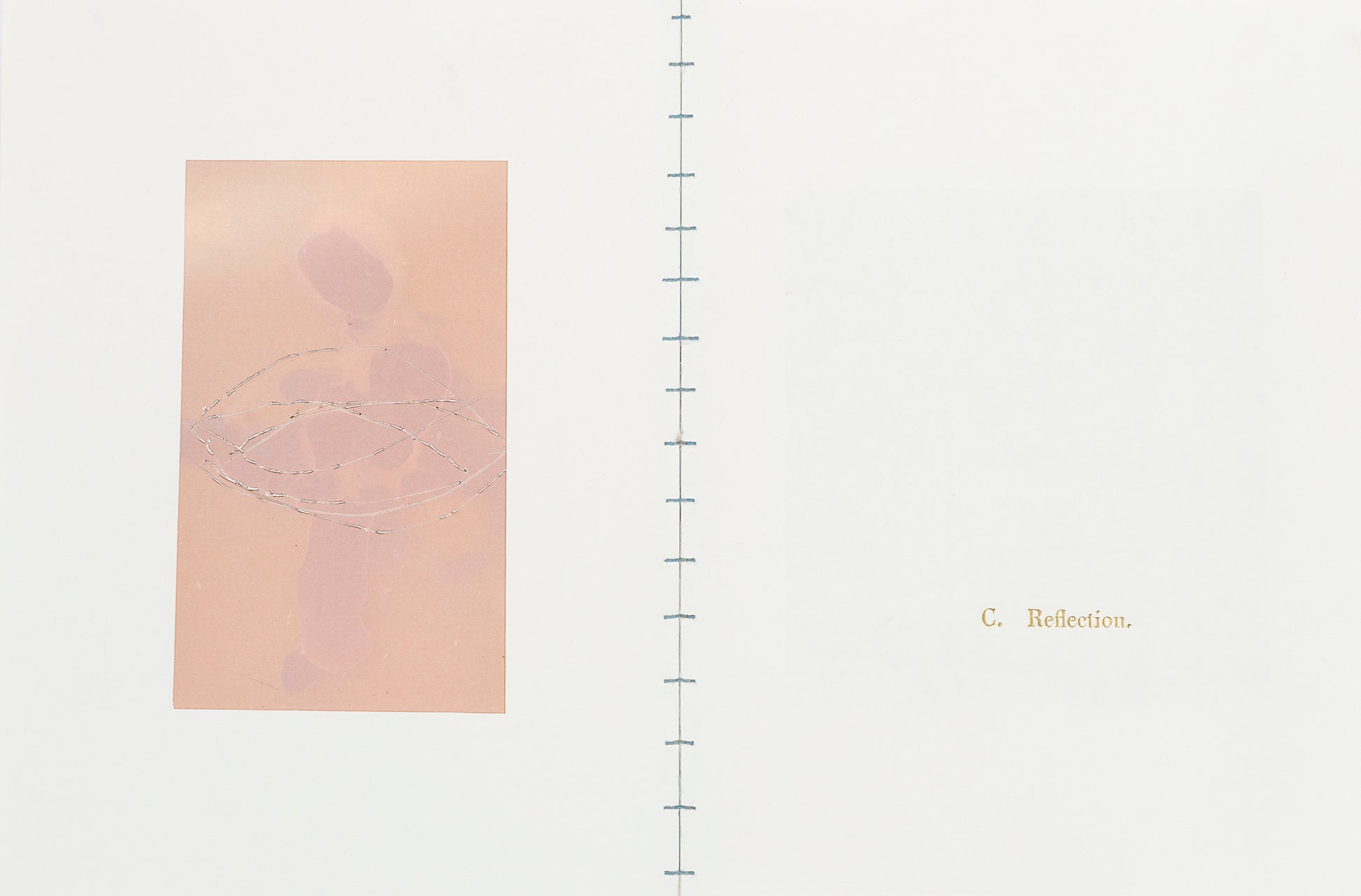 Nicolas Tanner Problems Of Perception Contents IVc