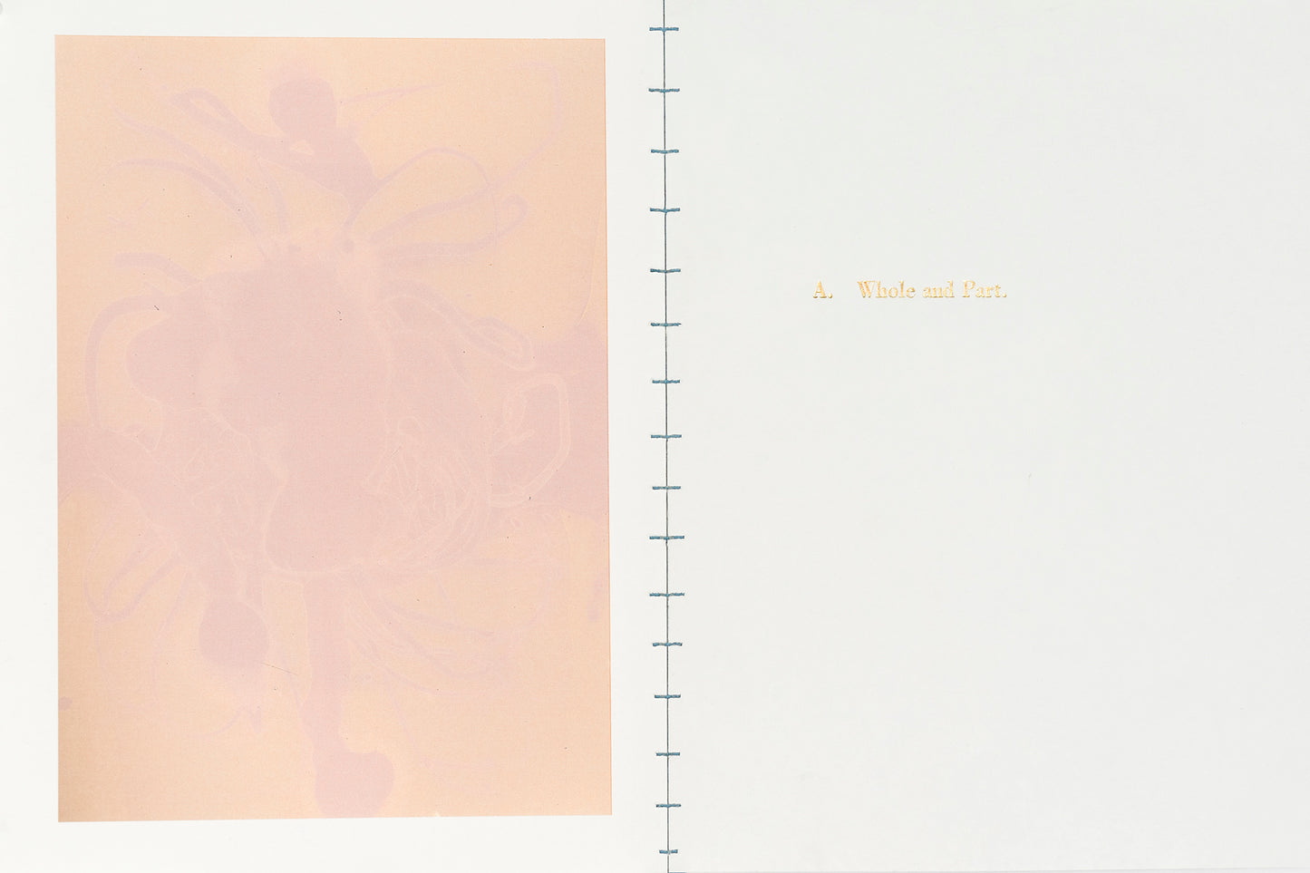 Nicolas Tanner Problems Of Perception Contents IVa