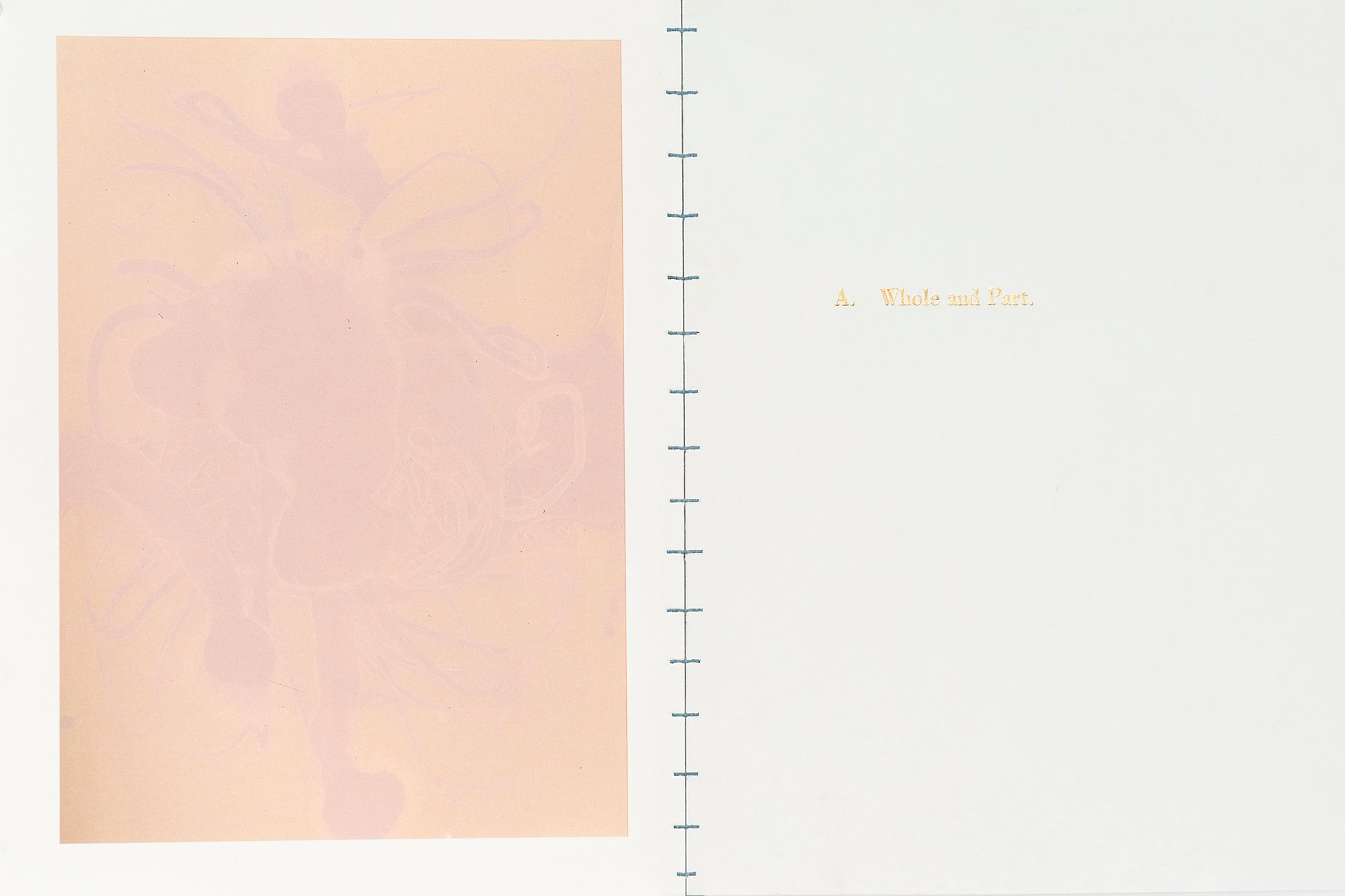 Nicolas Tanner Problems Of Perception Contents IVa