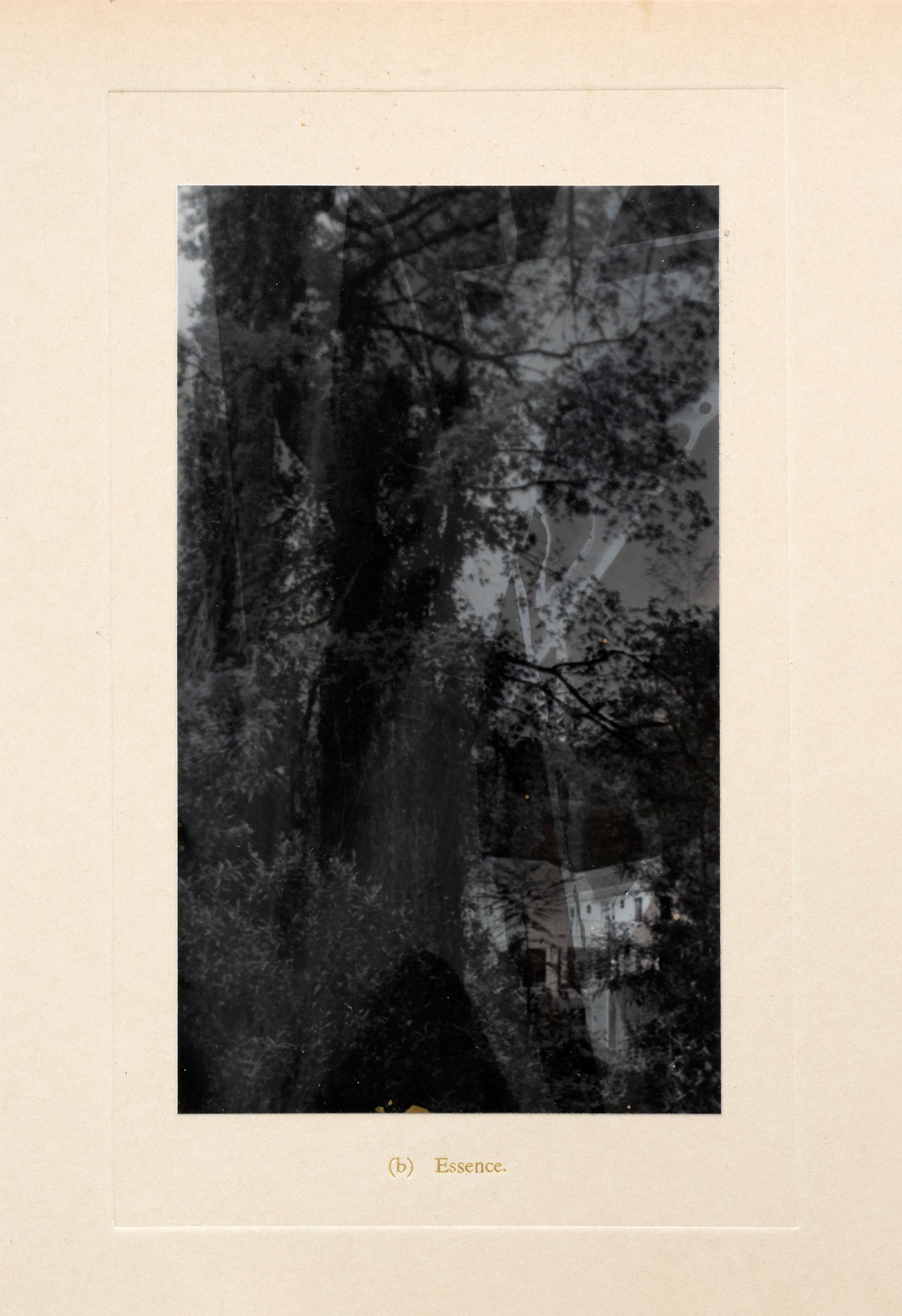 Nicolas Tanner Form and Essence B