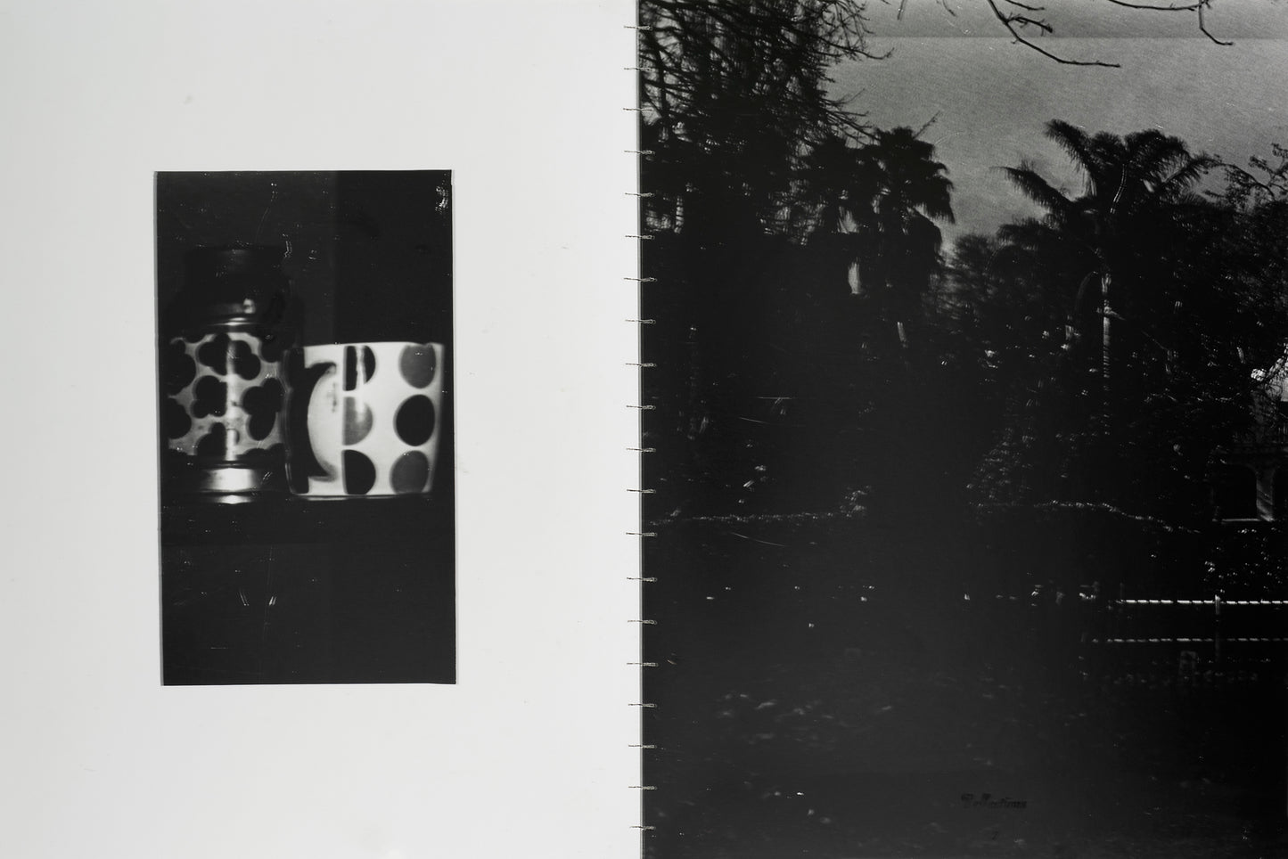 Nicolas Tanner Reflections VII