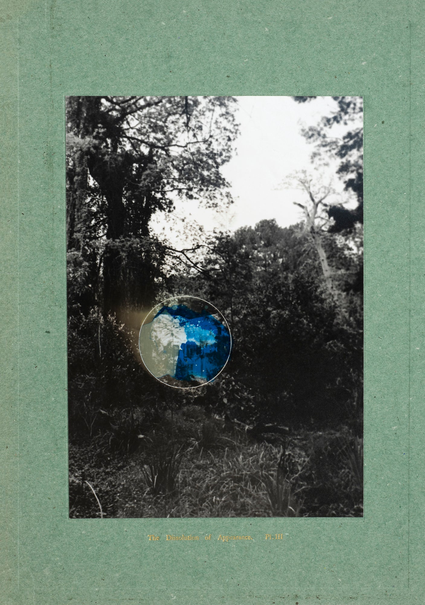 Nicolas Tanner The Dissolution Of Appearance III