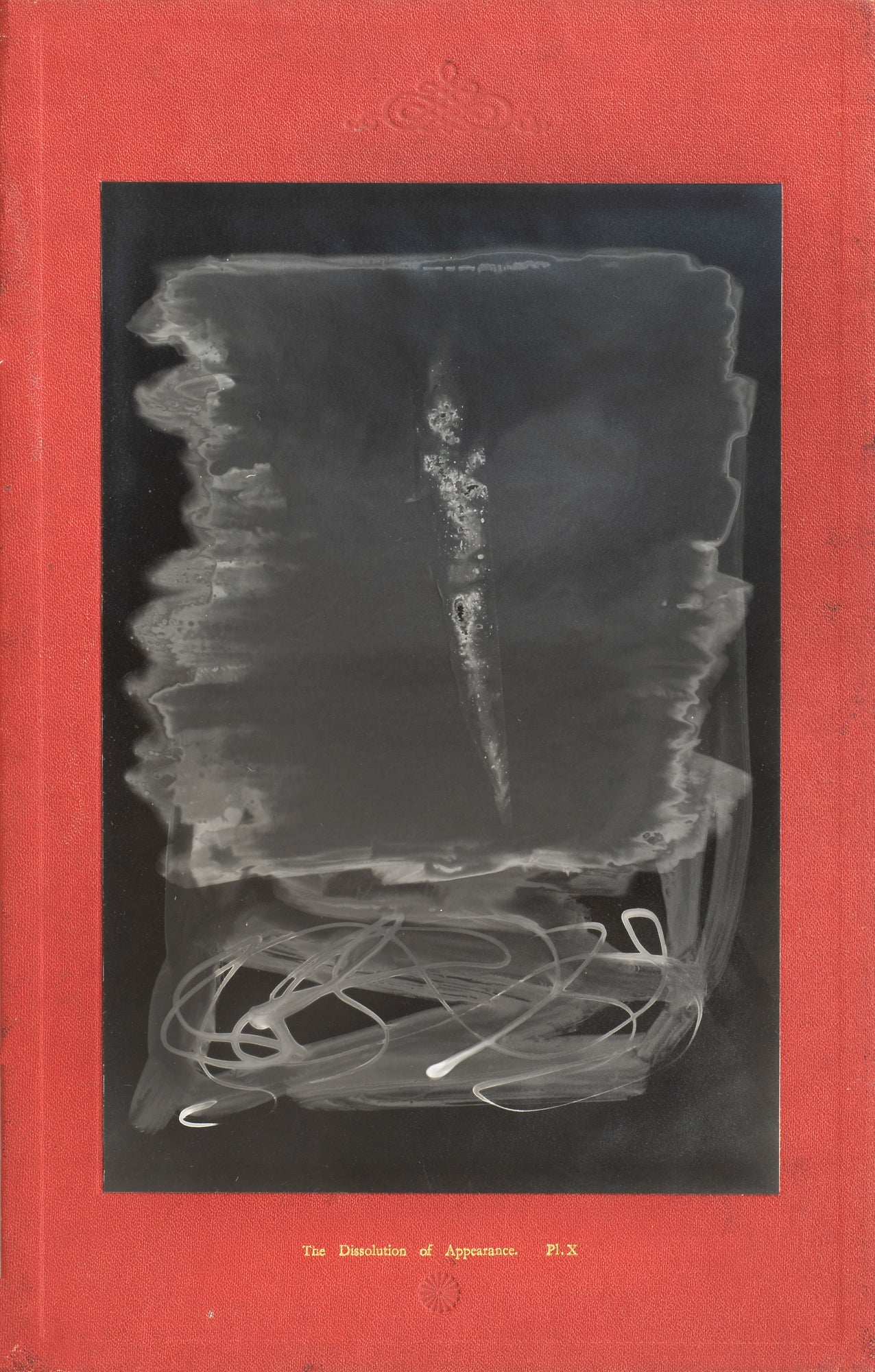 Nicolas Tanner The Dissolution Of Appearance X