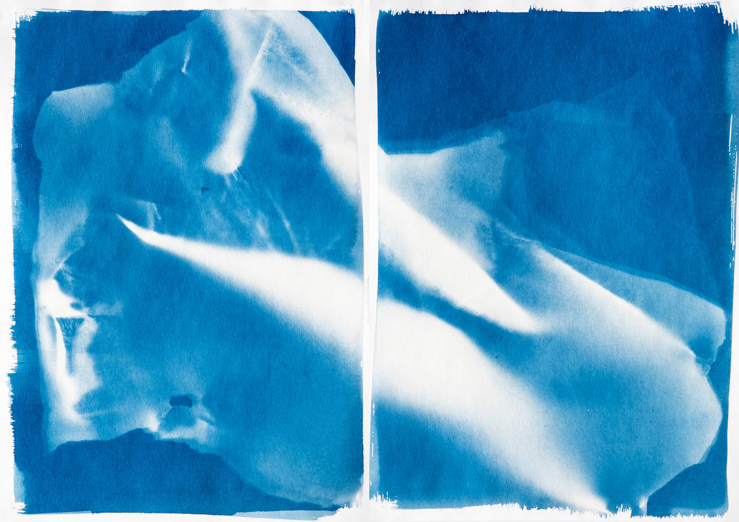 Nicole Fraser Untitled IX and X
