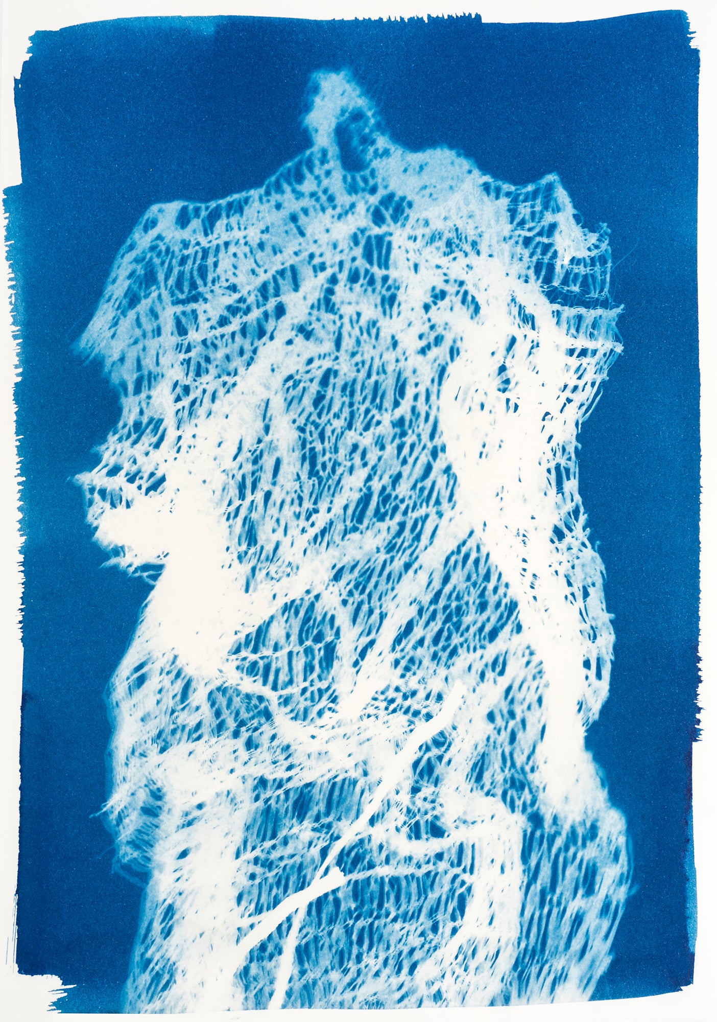 Nicole Fraser Untitled 2