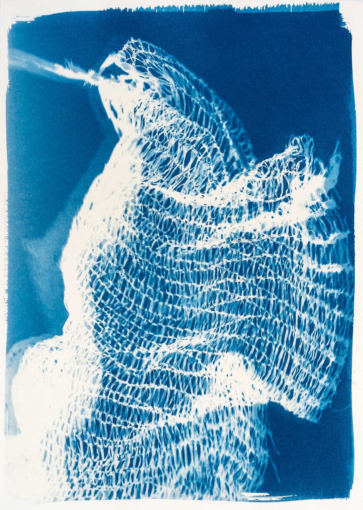 Nicole Fraser Untitled 3
