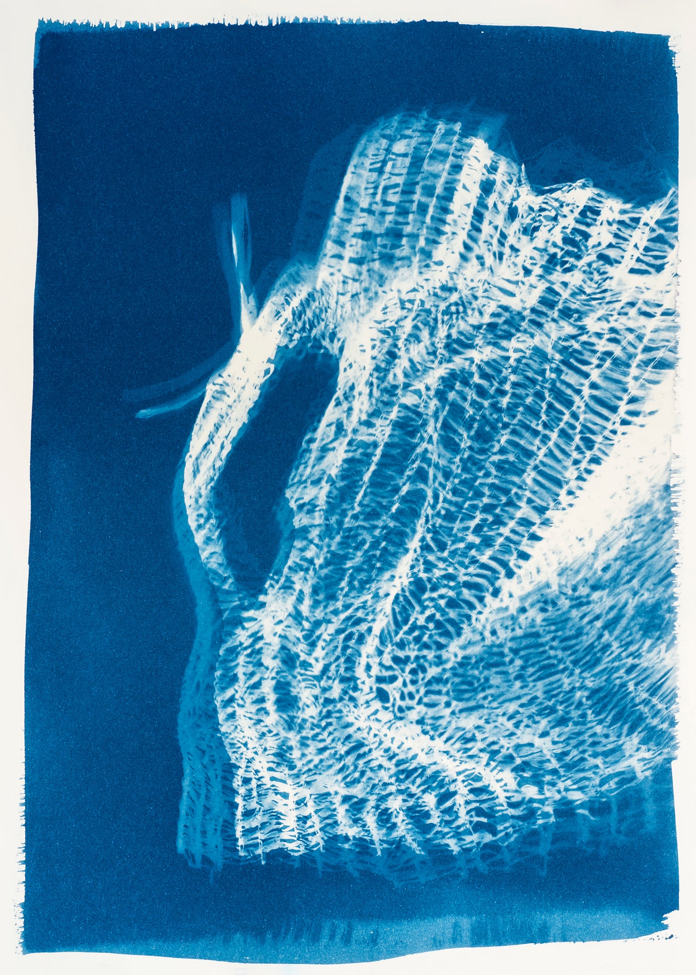 Nicole Fraser Untitled 1