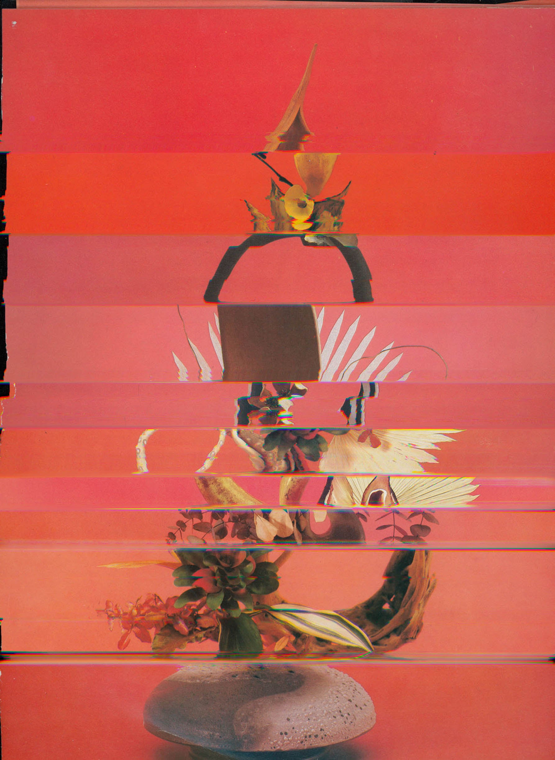Nico Krijno Lockdown Collage f104