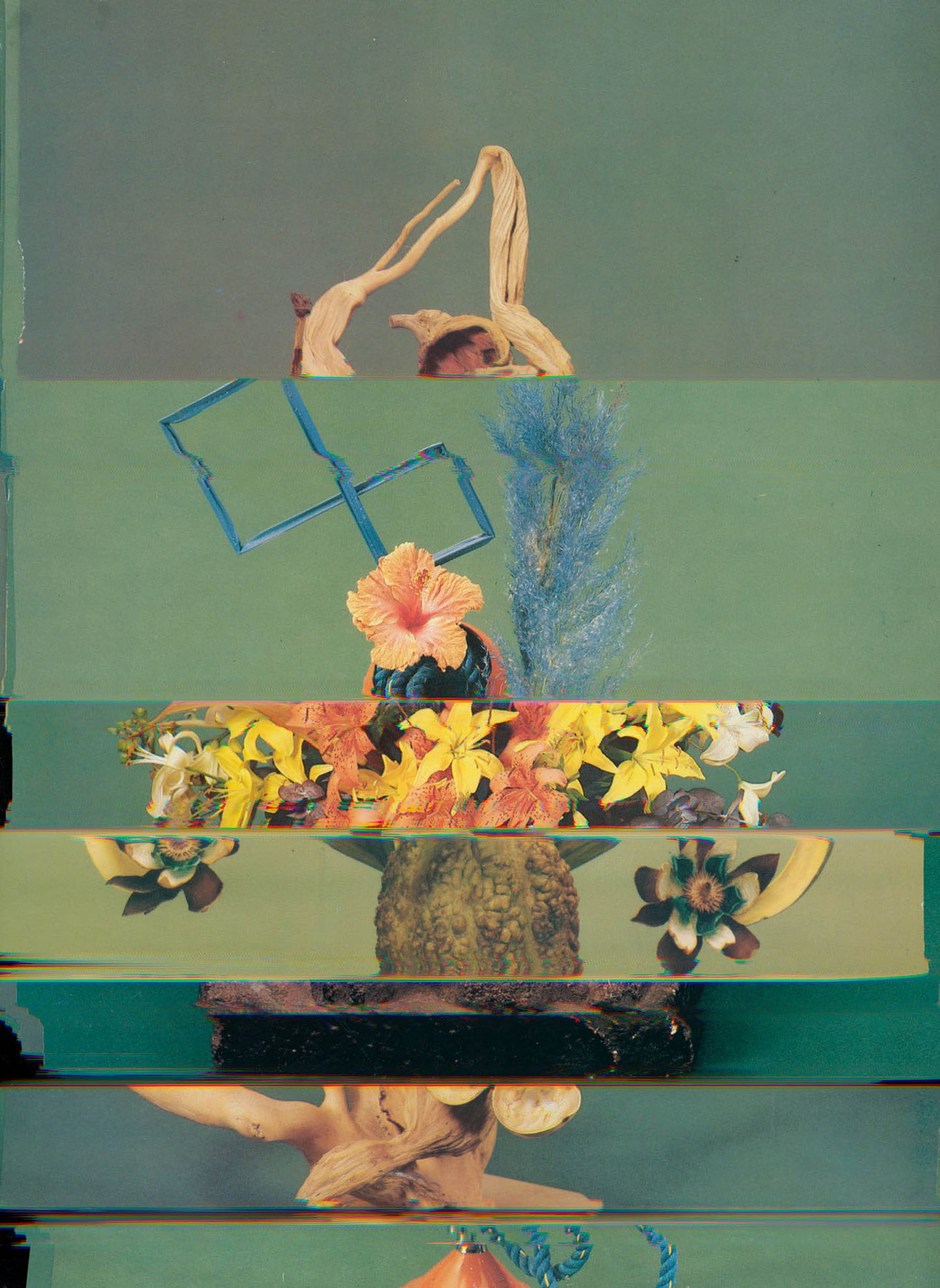 Nico Krijno Lockdown Collage f101