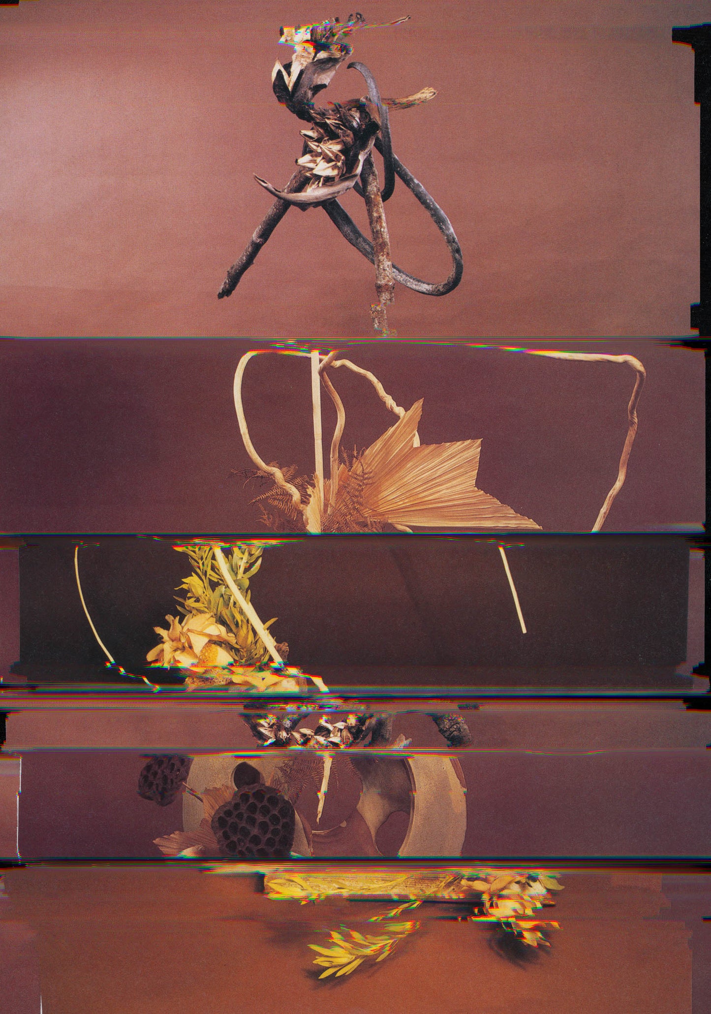 Nico Krijno Lockdown Collage 14905 00987