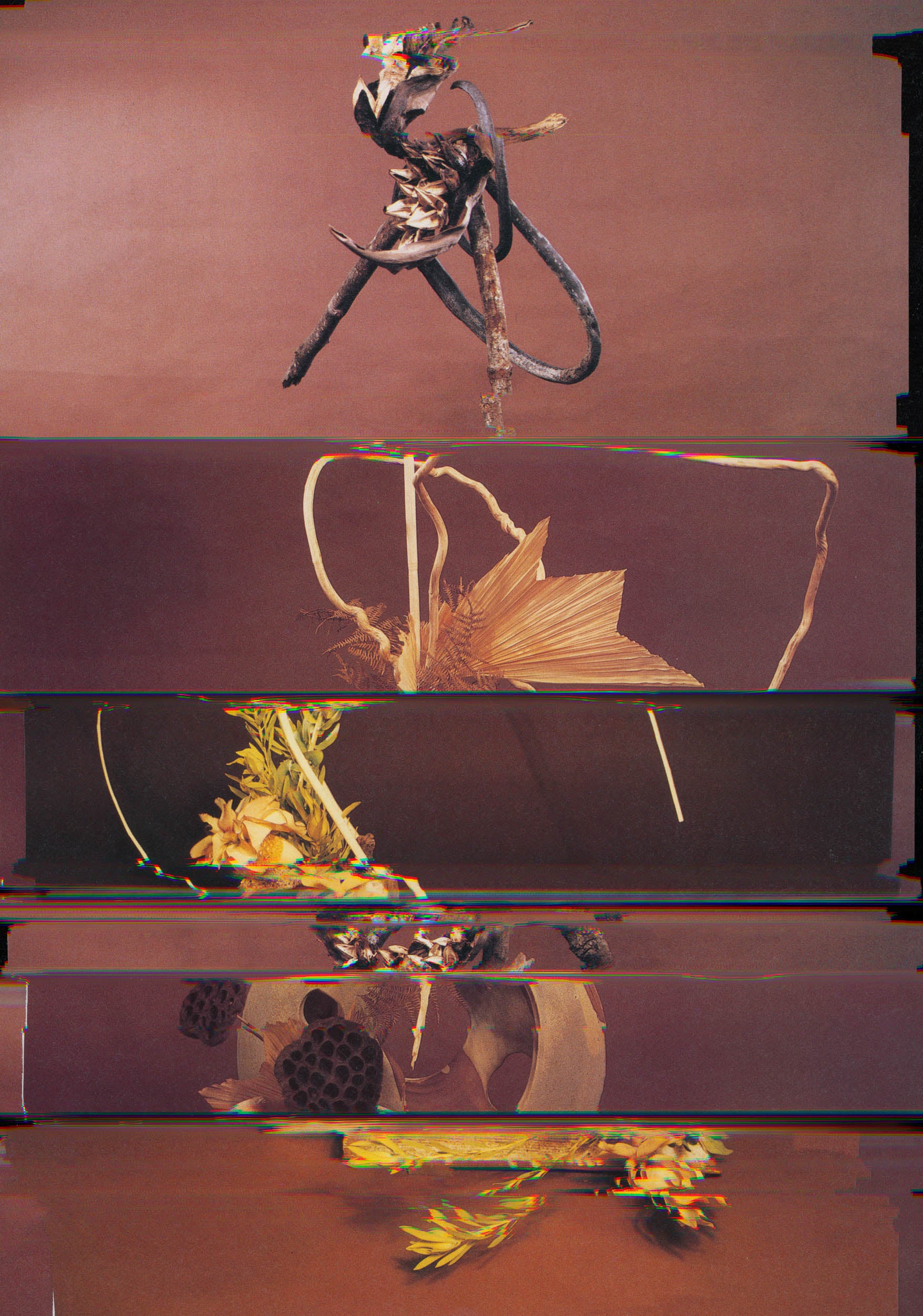 Nico Krijno Lockdown Collage 14905 00987