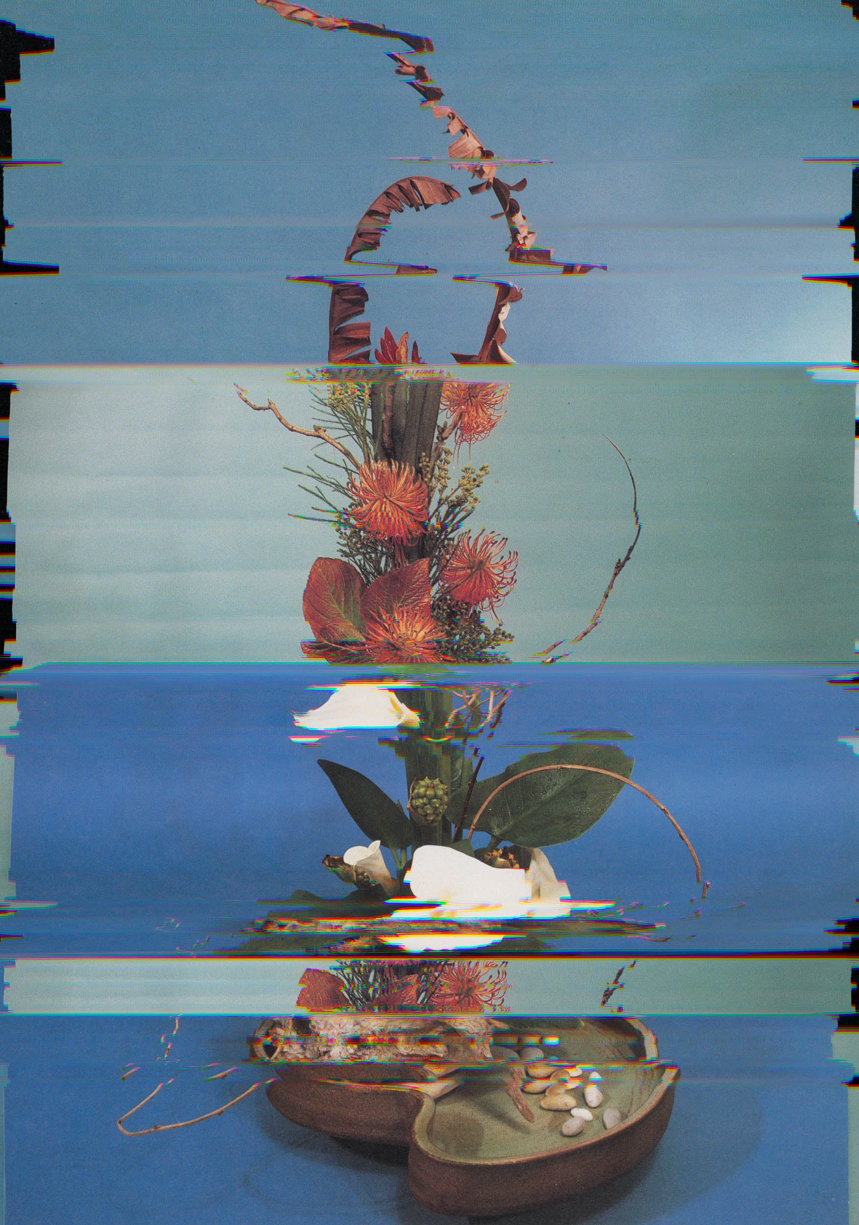 Nico Krijno Lockdown Collage 1409 00310