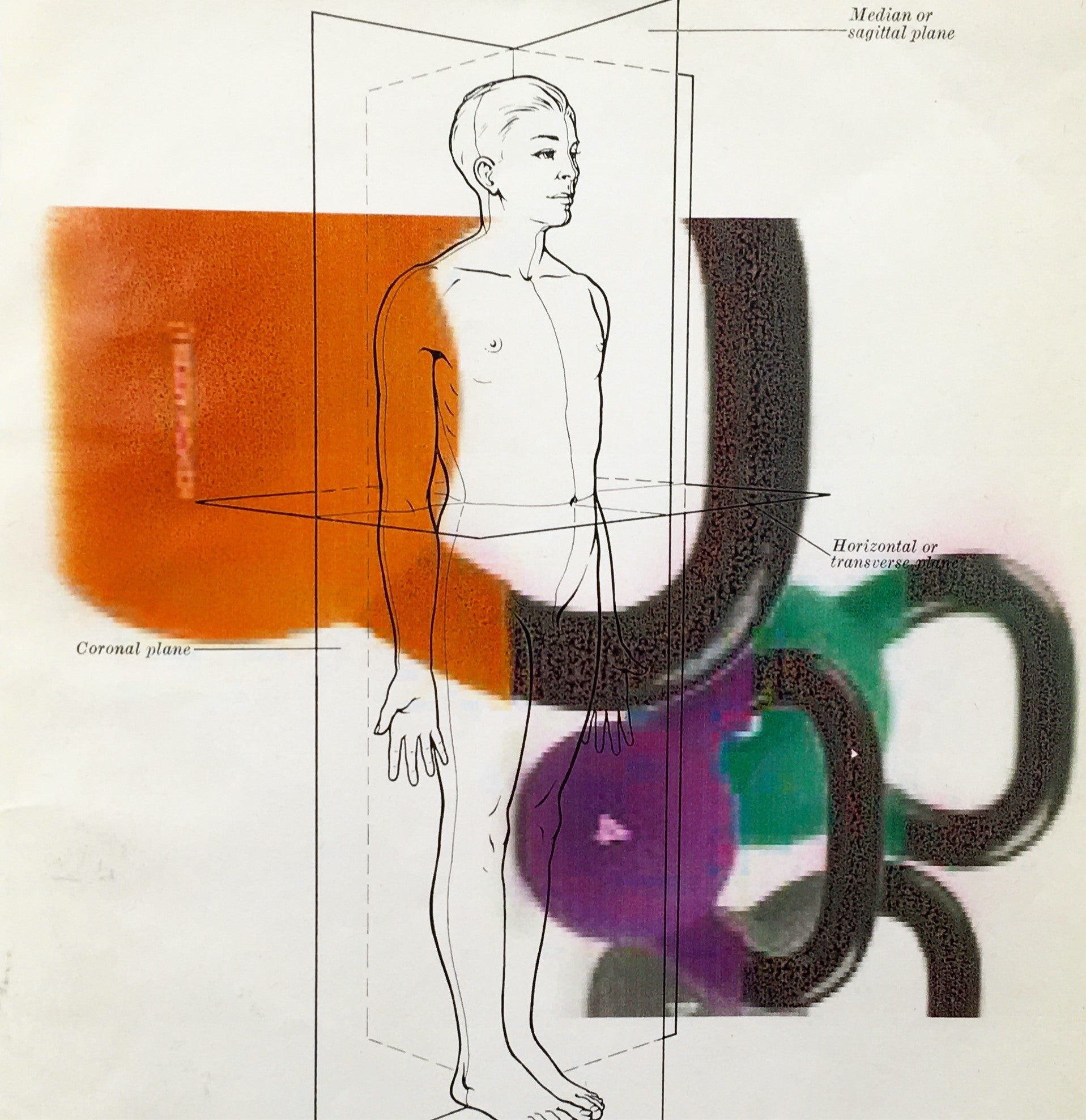 Peter Lamb Horizontal