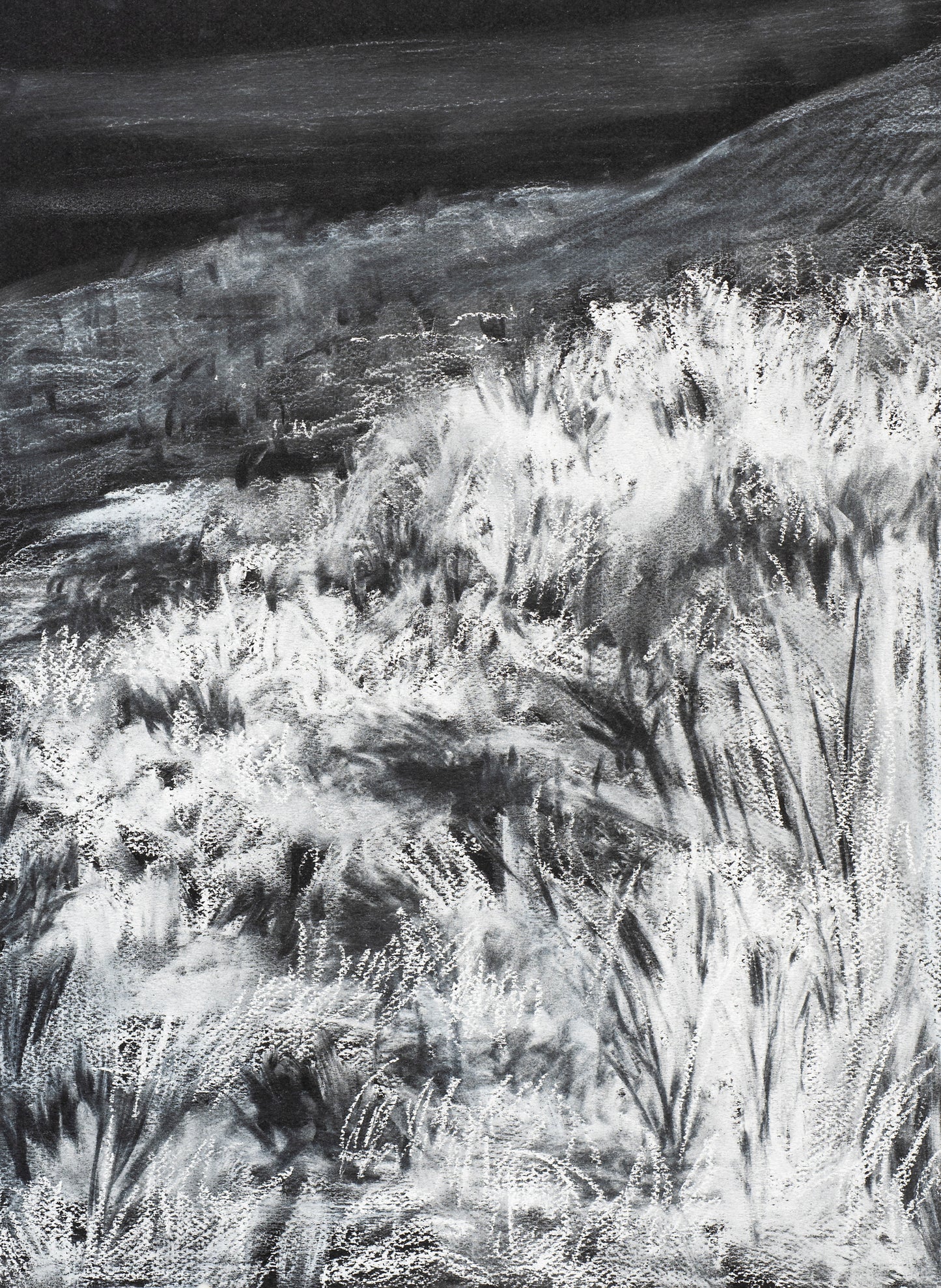 Philippa Allen Negative