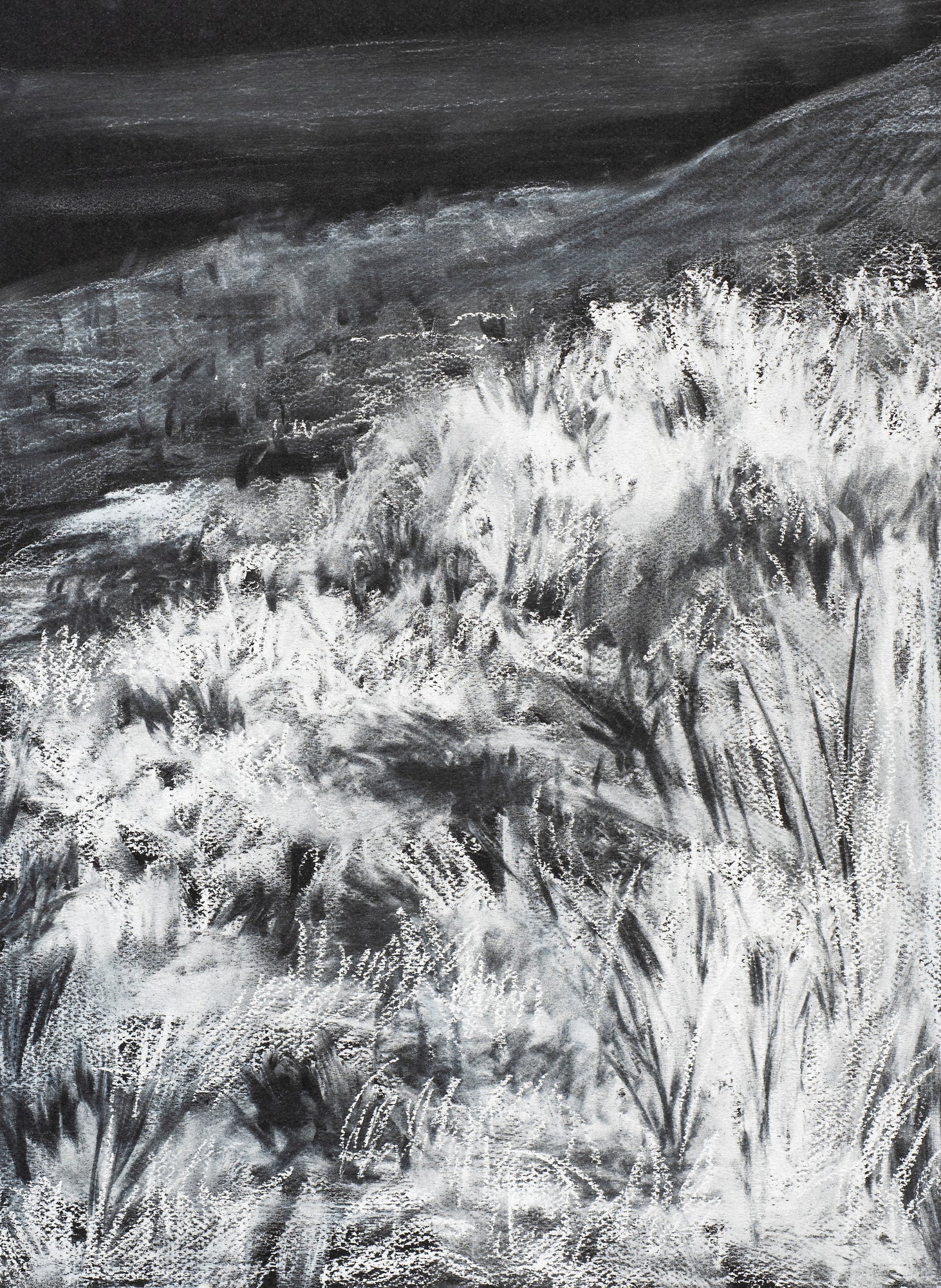 Philippa Allen Negative