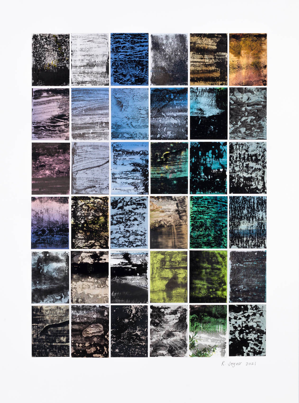 Rosemary Joynt  Ozone 3