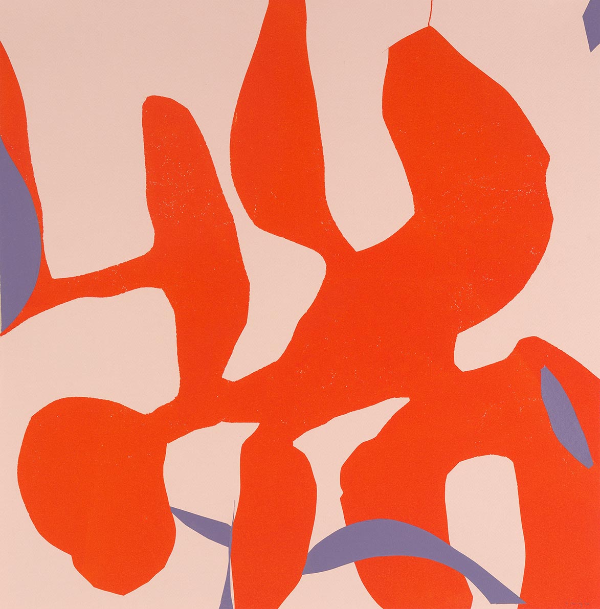 Sara-Aimee Verity Untitled 8