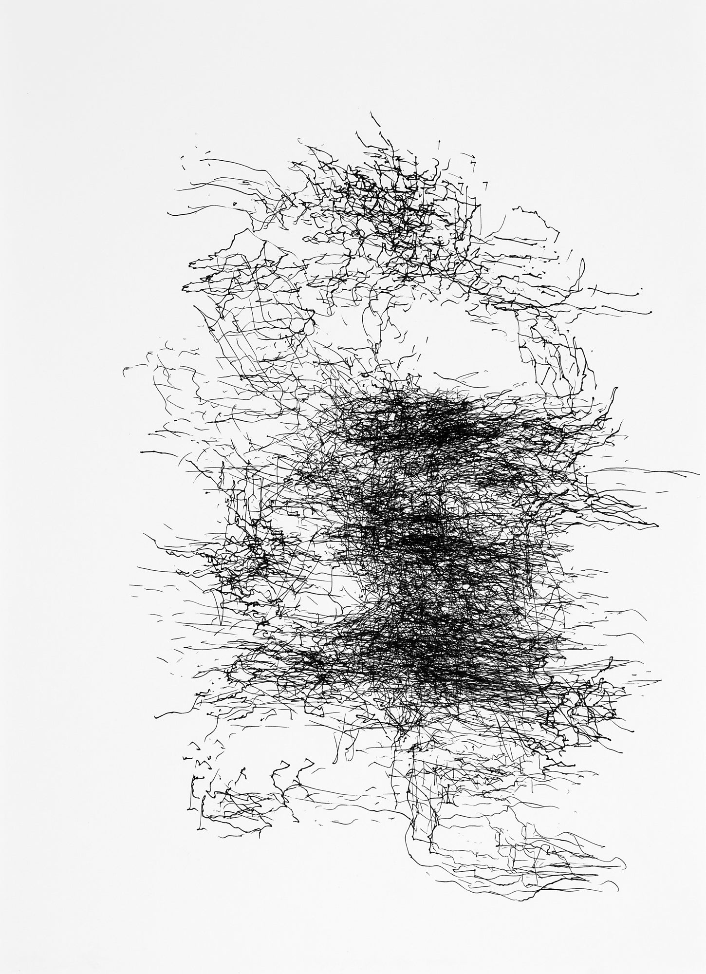 Sonya Rademeyer Voice of Duchamp