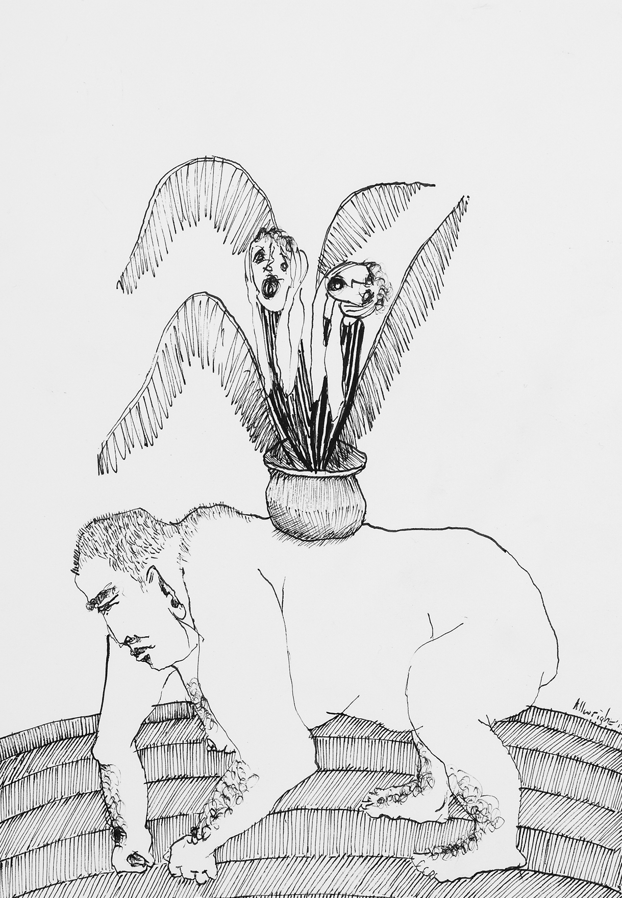 Stephen Allwright Potted Screamers and Vehicle