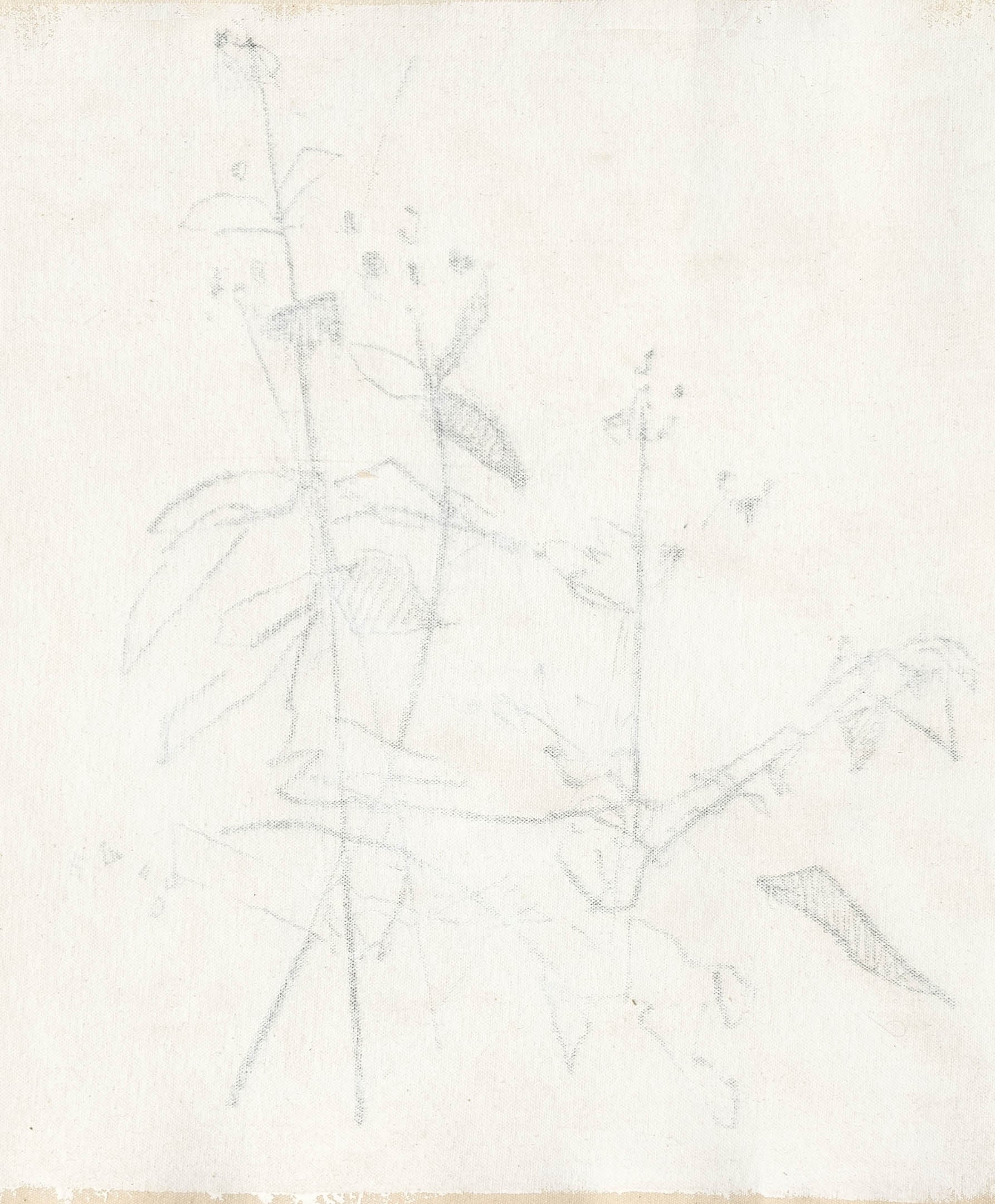 Simon Job Viewer No.6