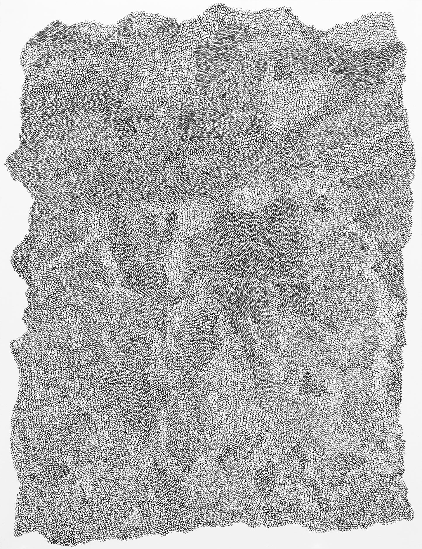 Thanduxolo Phakathi Untitled 1