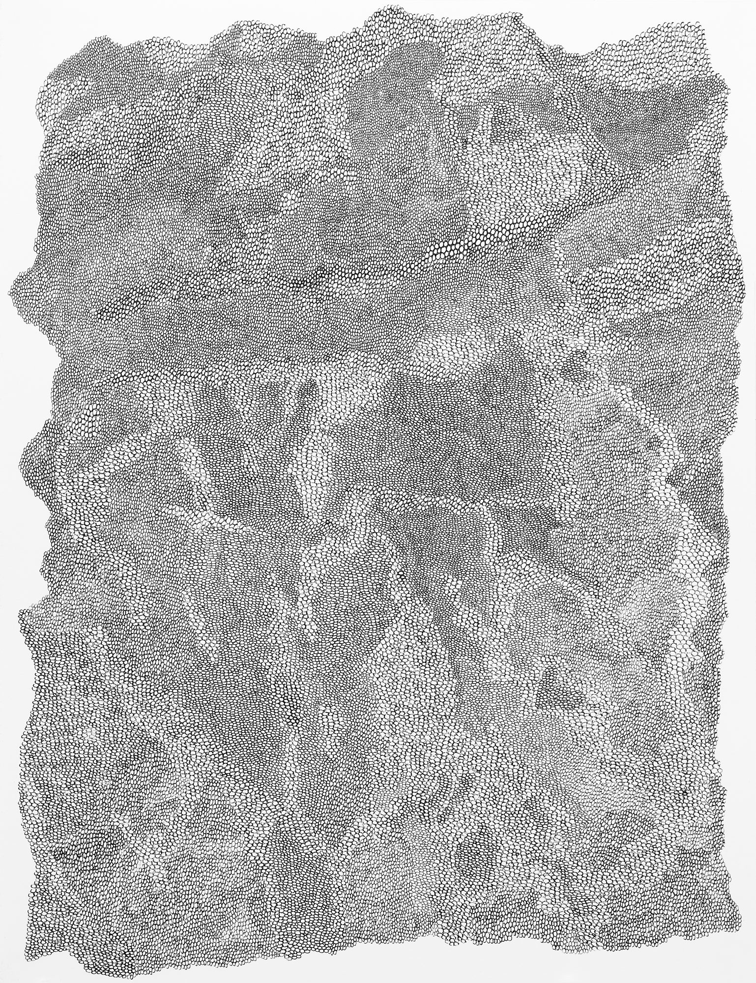 Thanduxolo Phakathi Untitled 1