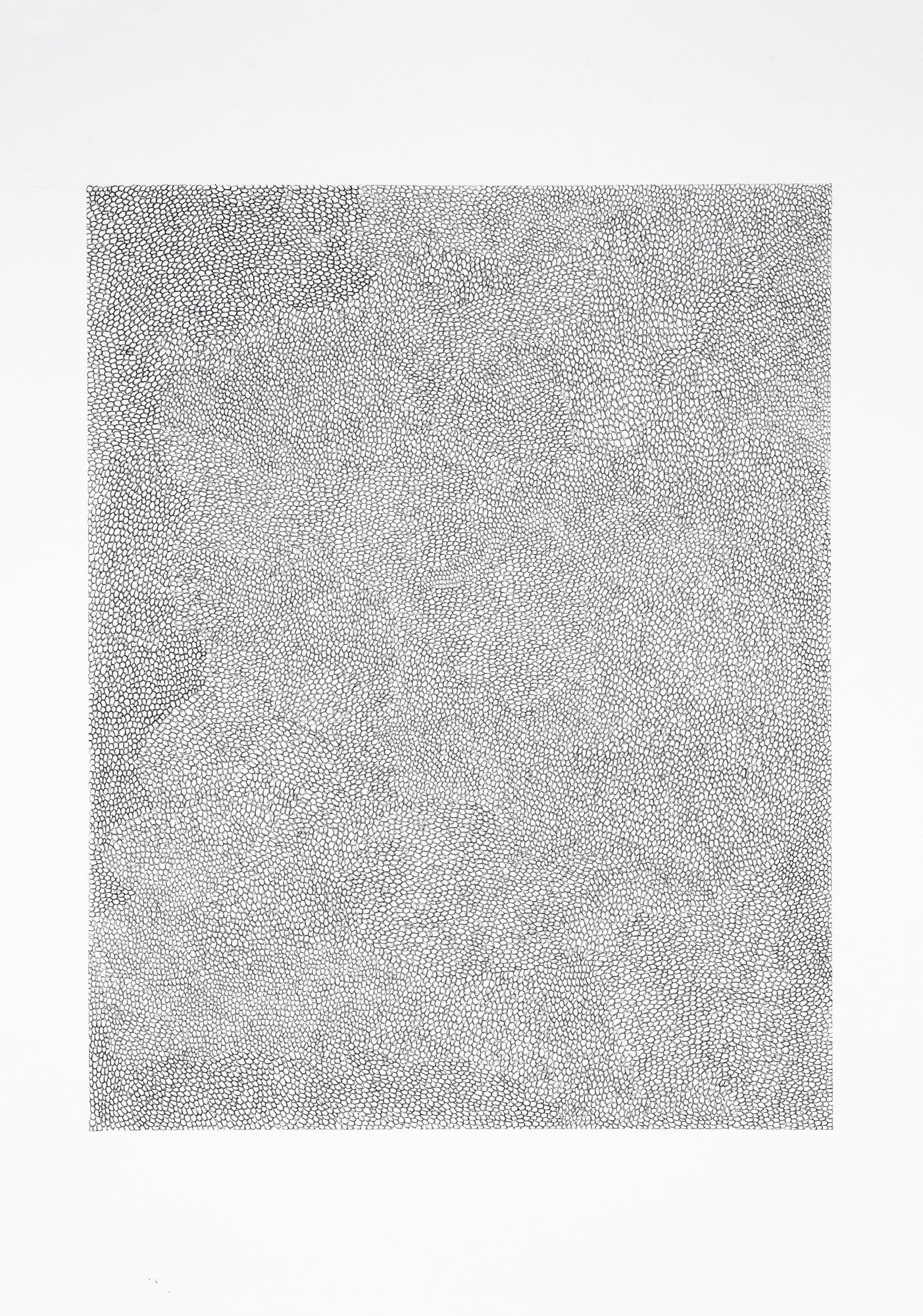 Thanduxolo Phakathi Carbon