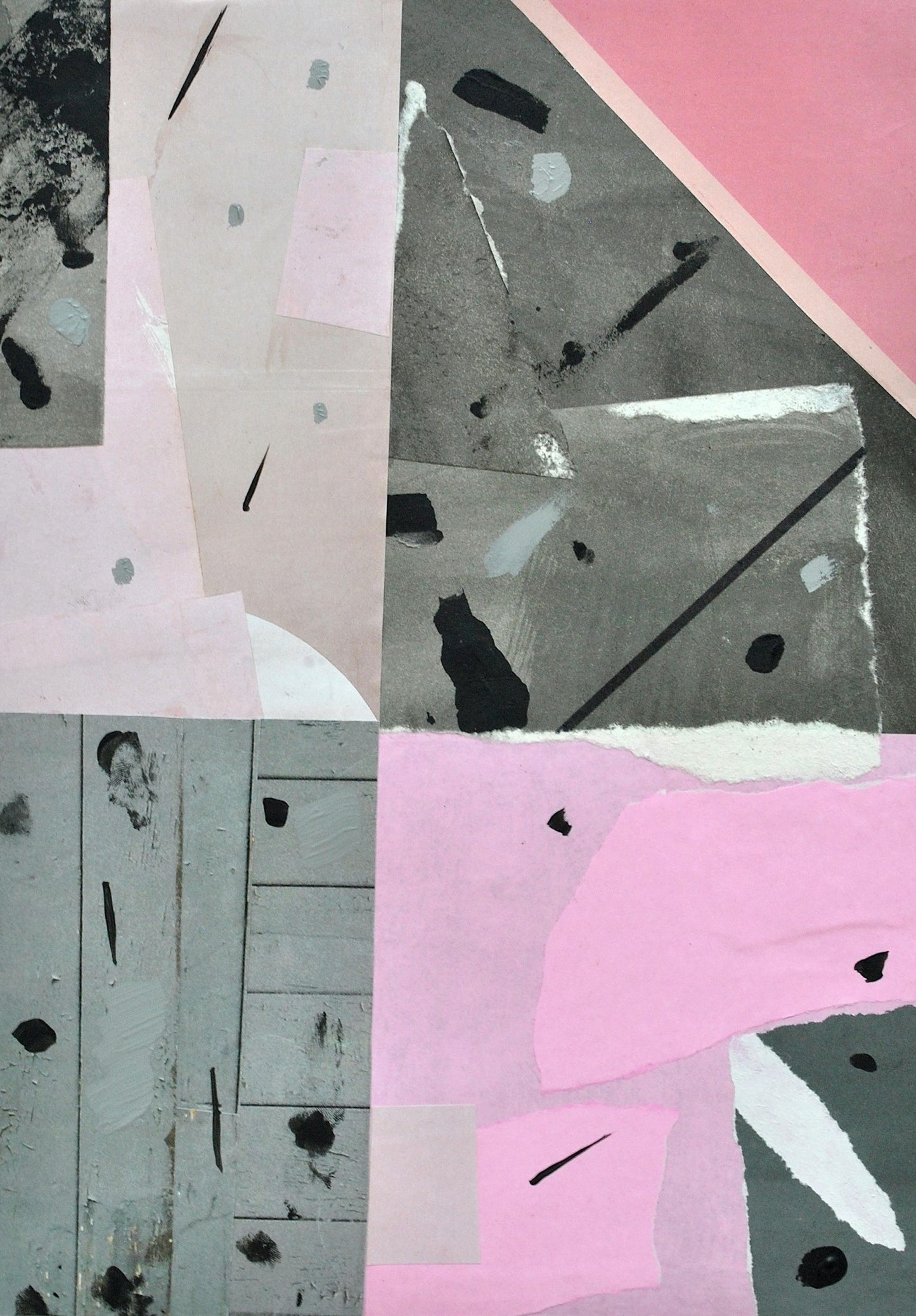 Tess Williams Chroma Study